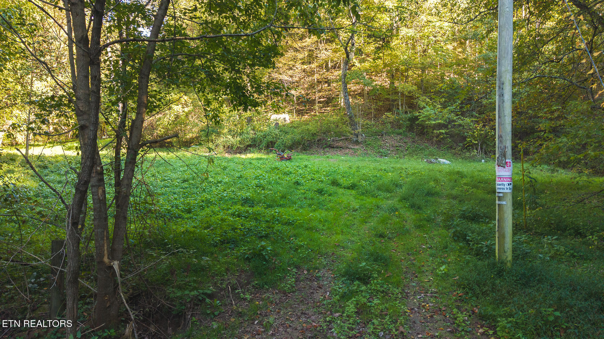 69.26 Ac Wolfe Road Sneedville TN 37869