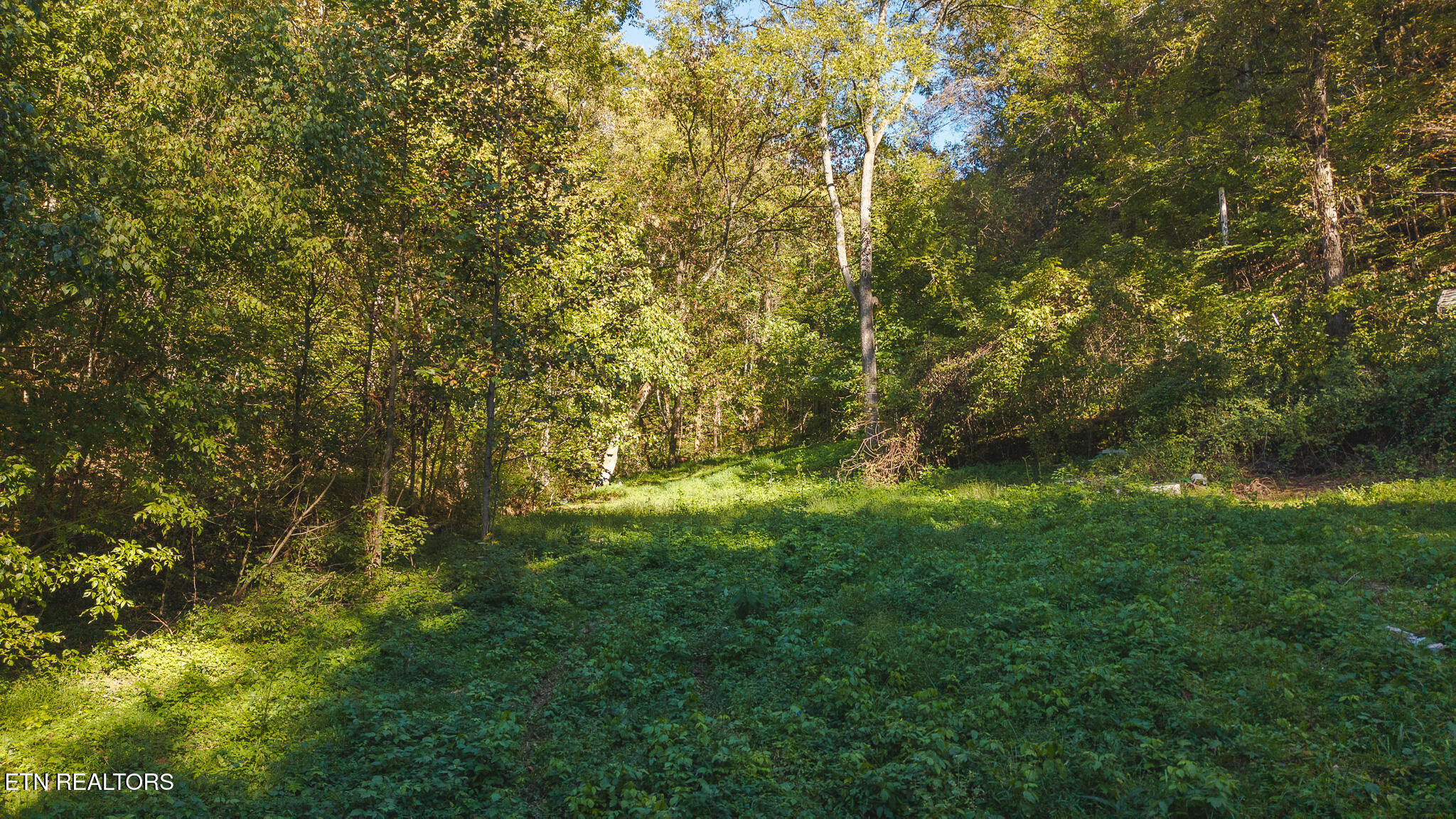 69.26 Ac Wolfe Road Sneedville TN 37869
