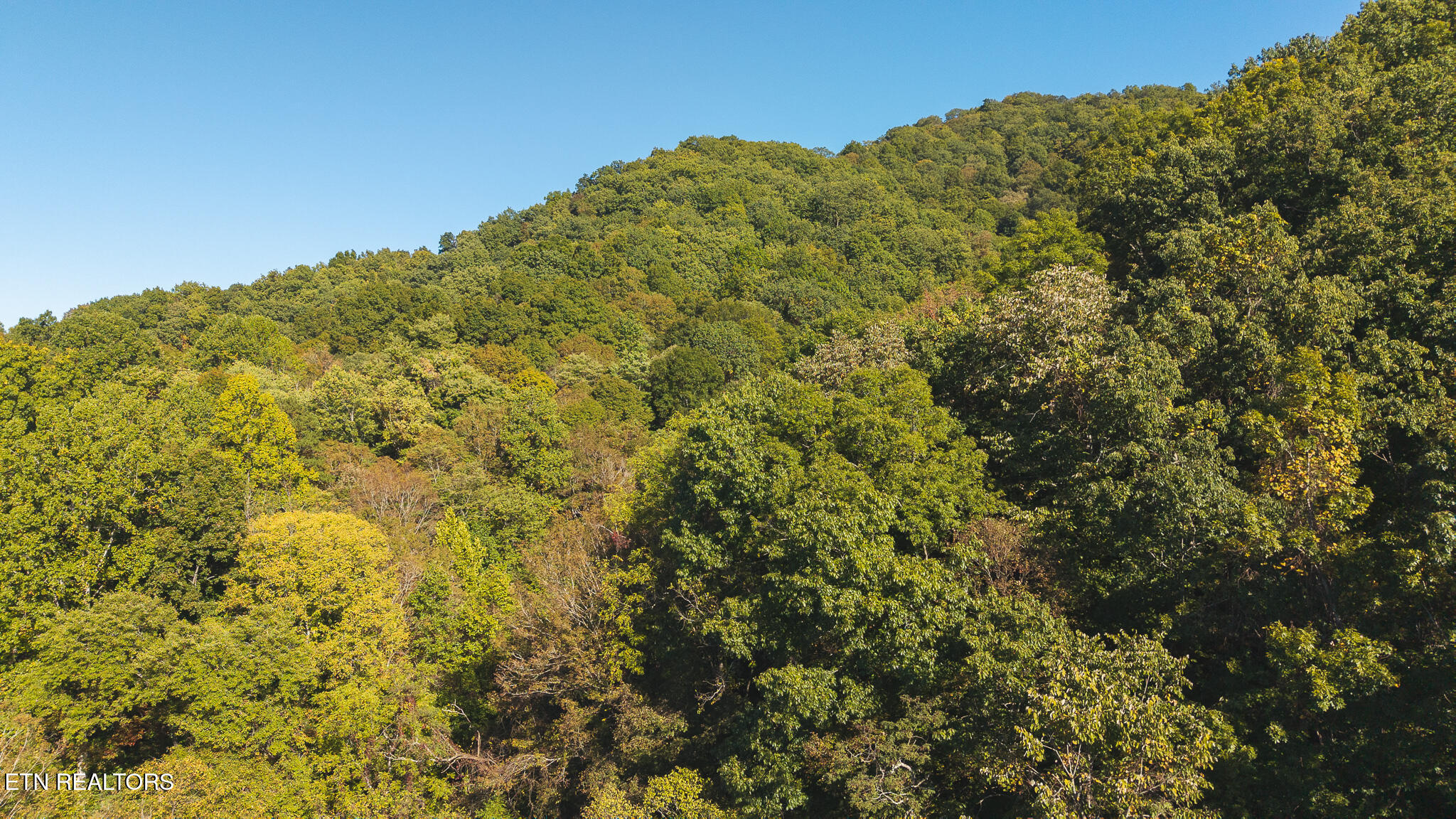 69.26 Ac Wolfe Road Sneedville TN 37869