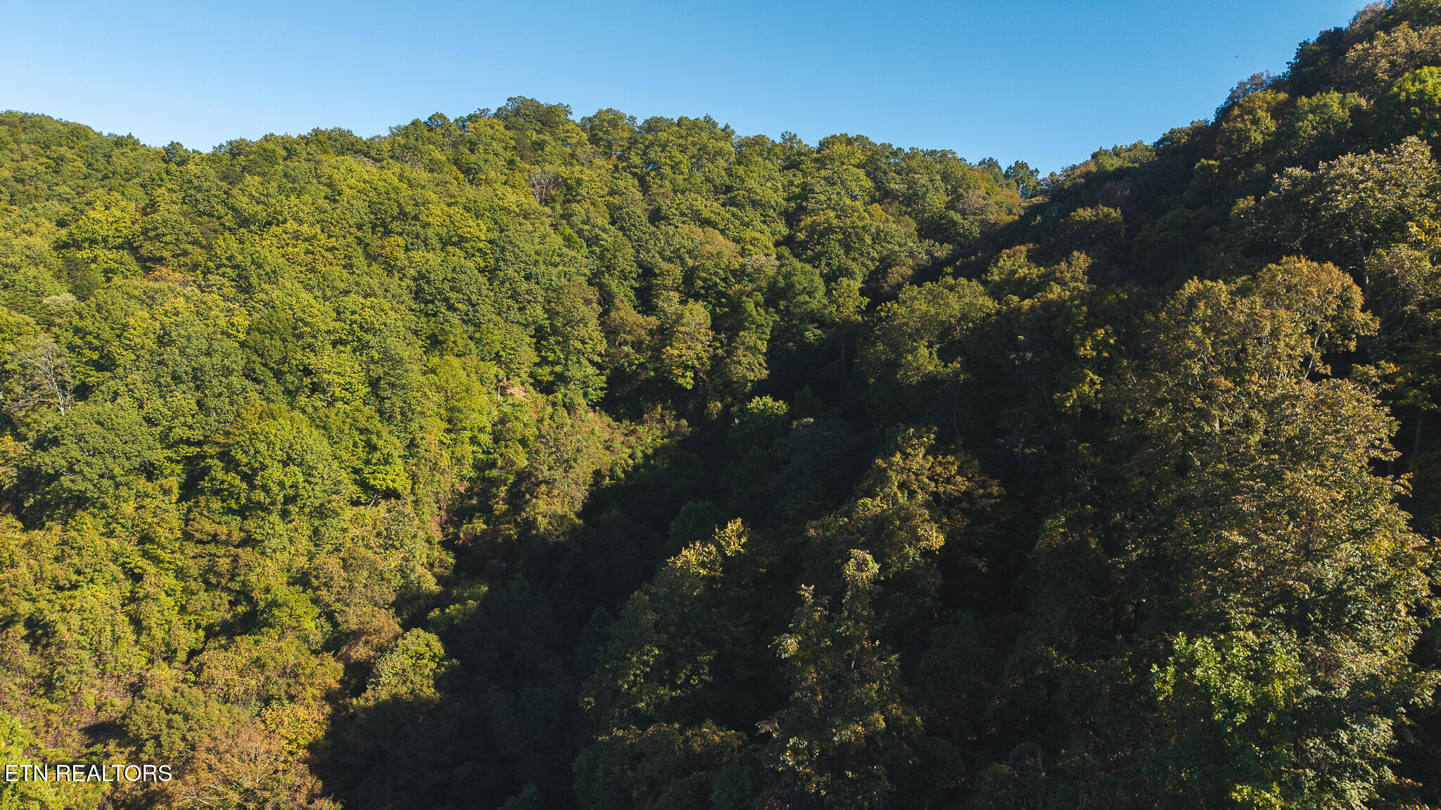 69.26 Ac Wolfe Road Sneedville TN 37869