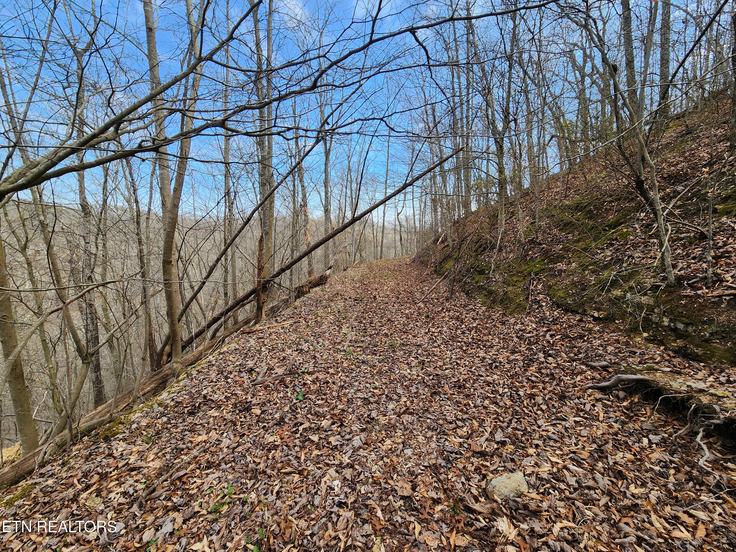 Alpine Drive Smithville TN 37166