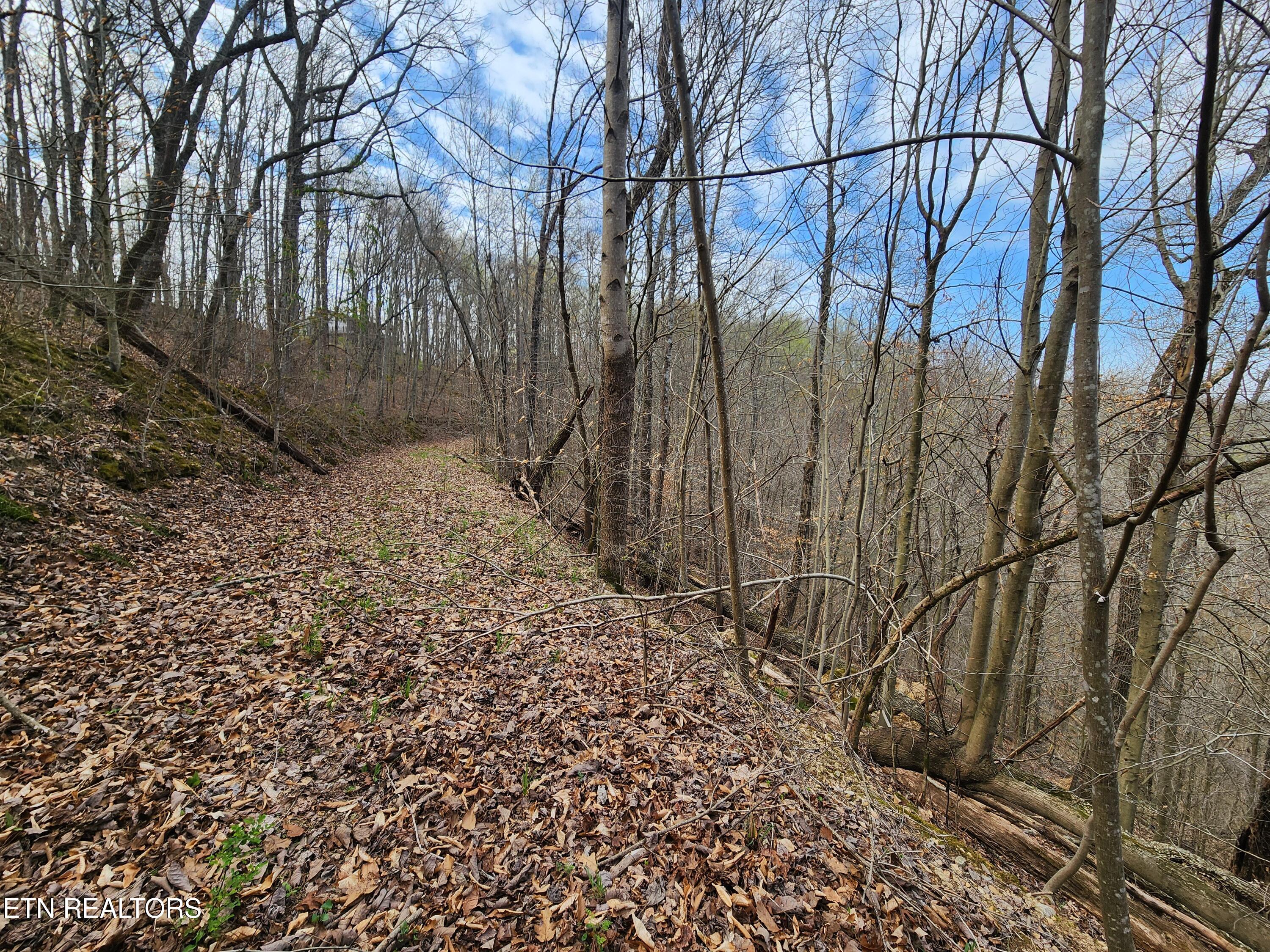 Alpine Drive Smithville TN 37166