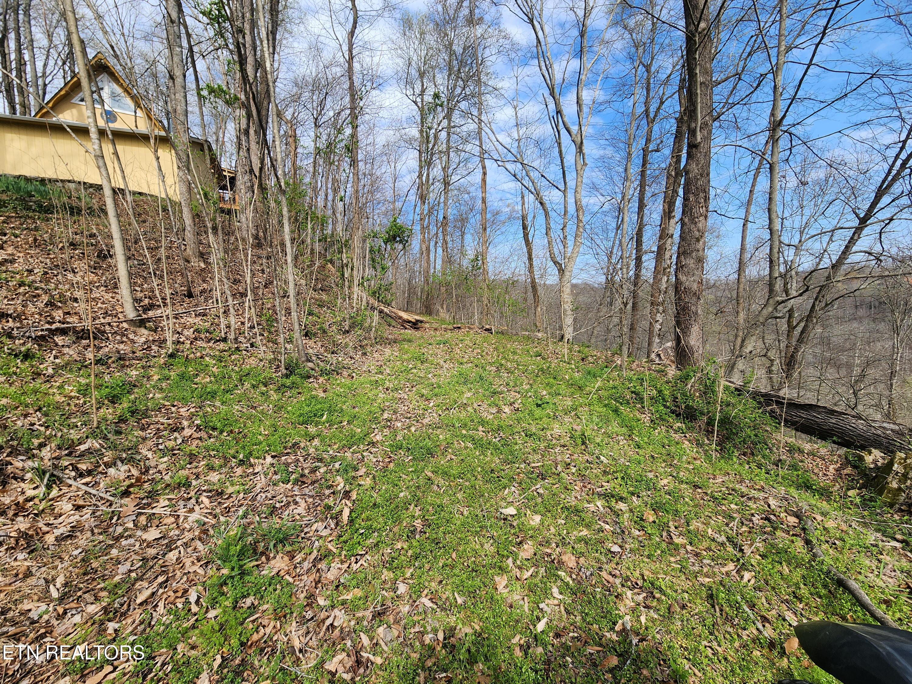 Alpine Drive Smithville TN 37166