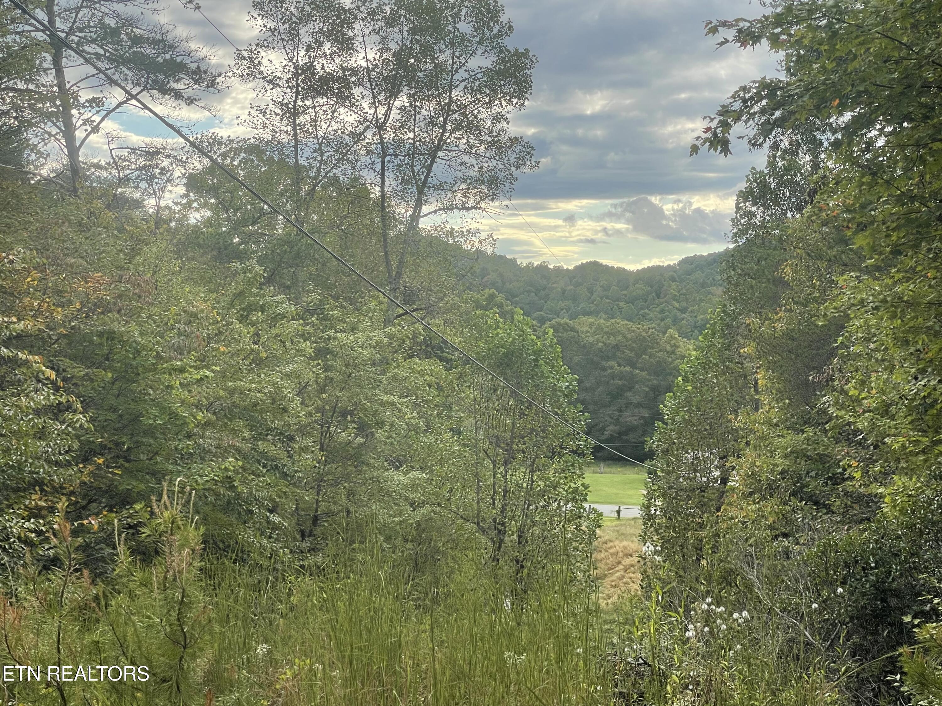 Buffalo Creek Road Oneida TN 37841