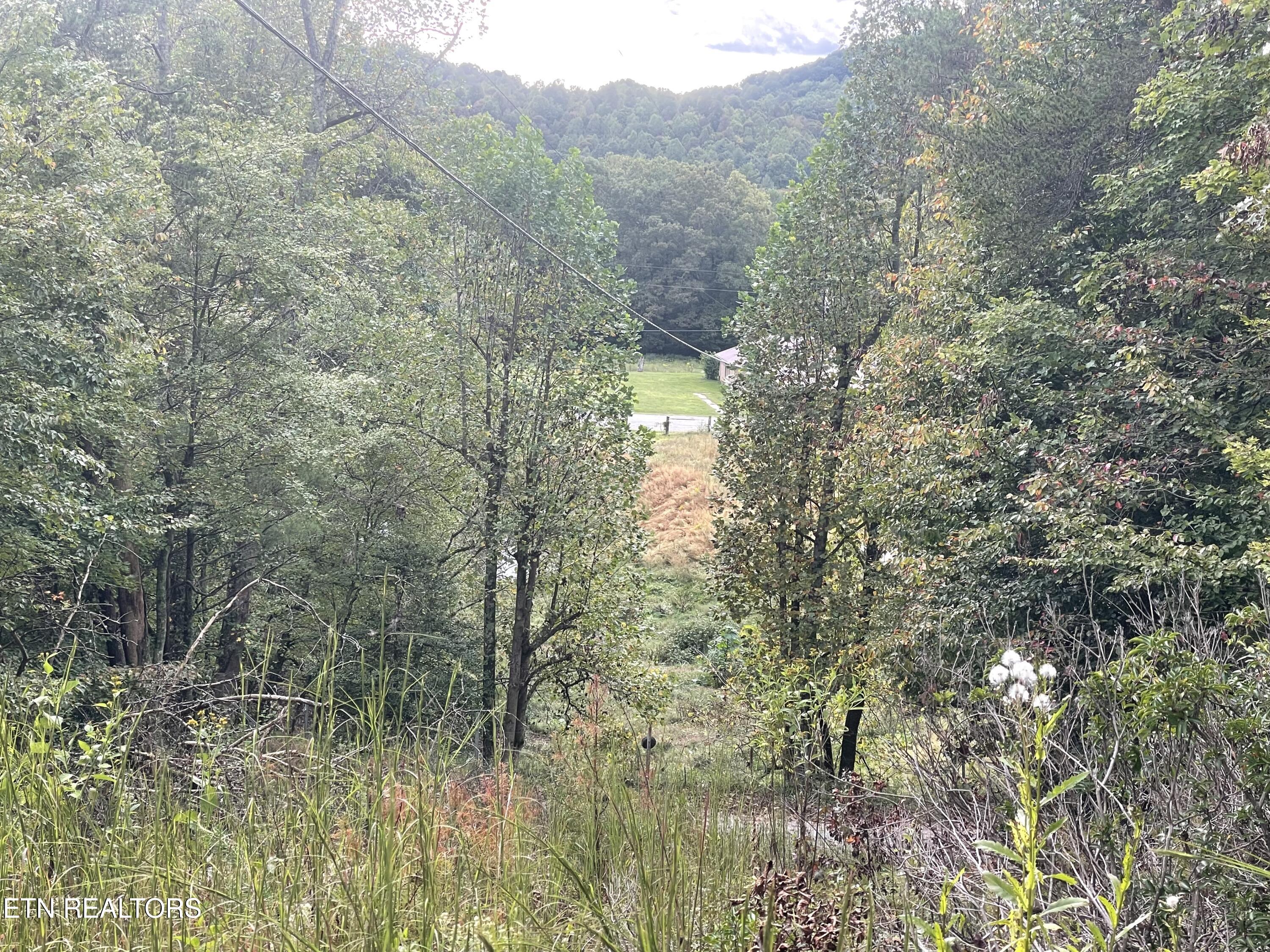 Buffalo Creek Road Oneida TN 37841