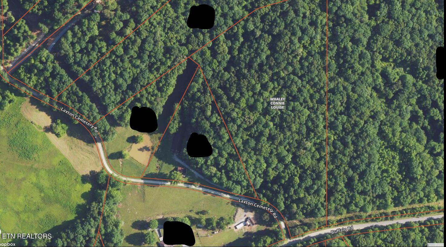 Buffalo Creek Road Oneida TN 37841