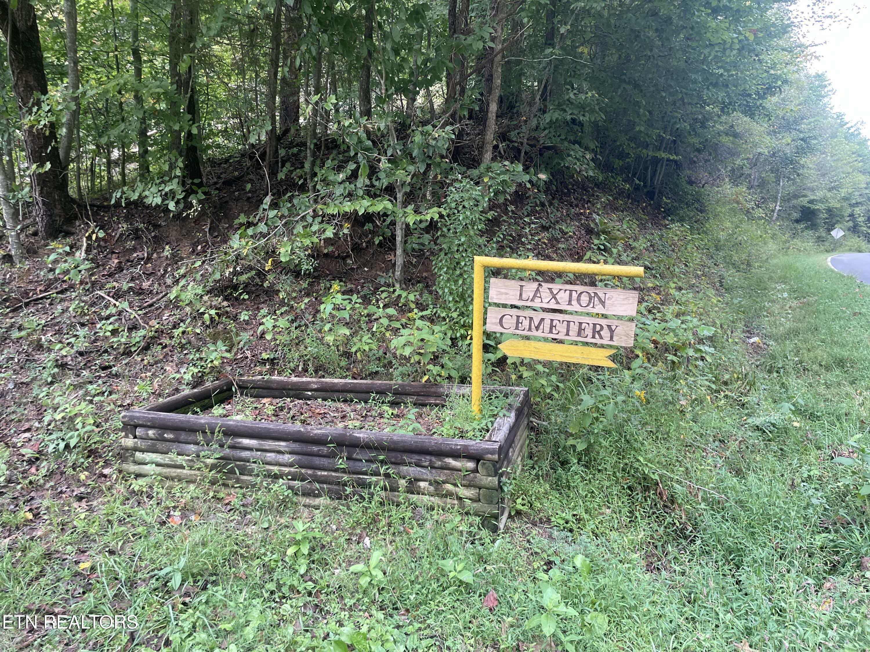 Buffalo Creek Road Oneida TN 37841