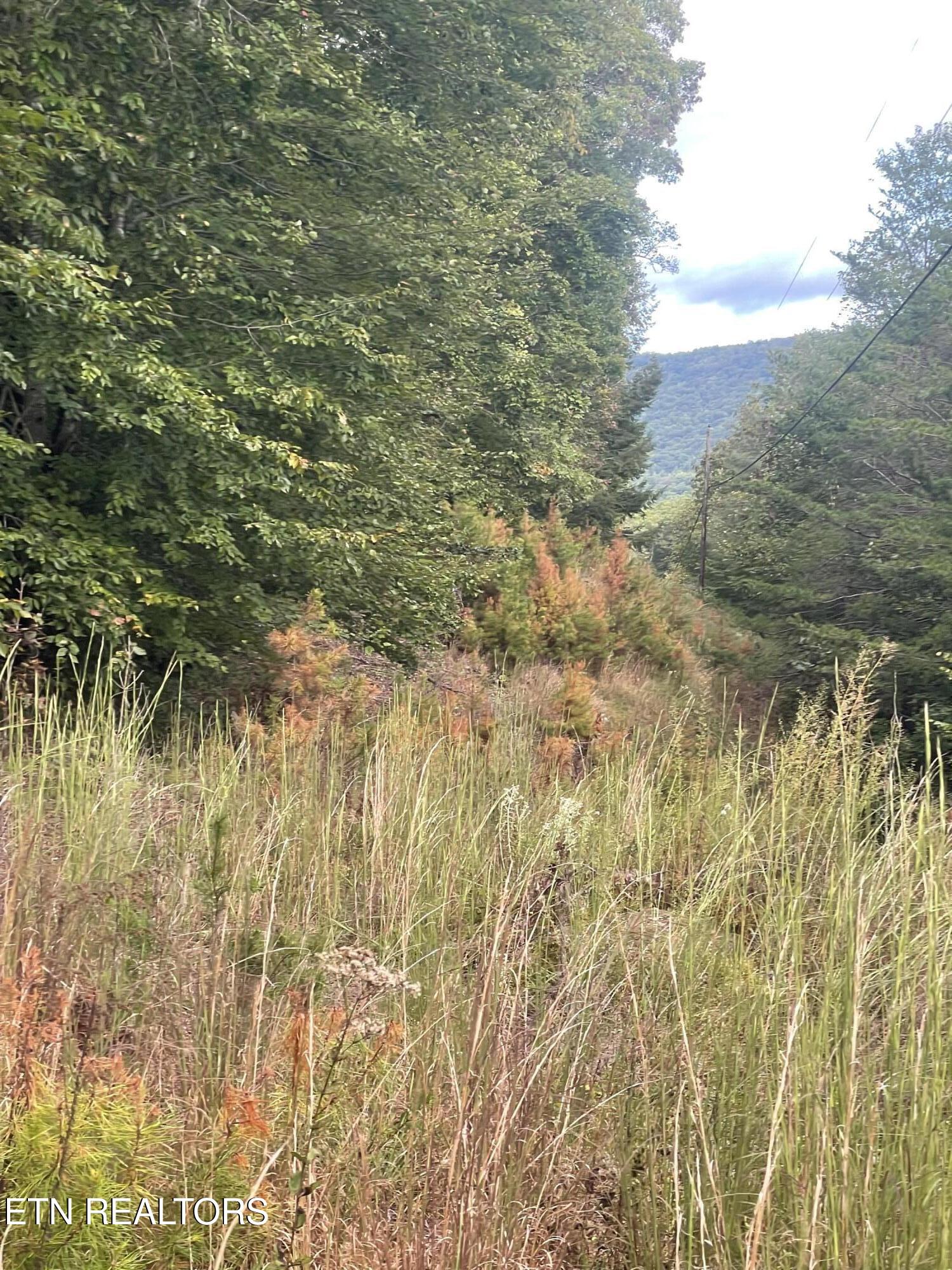 Buffalo Creek Road Oneida TN 37841