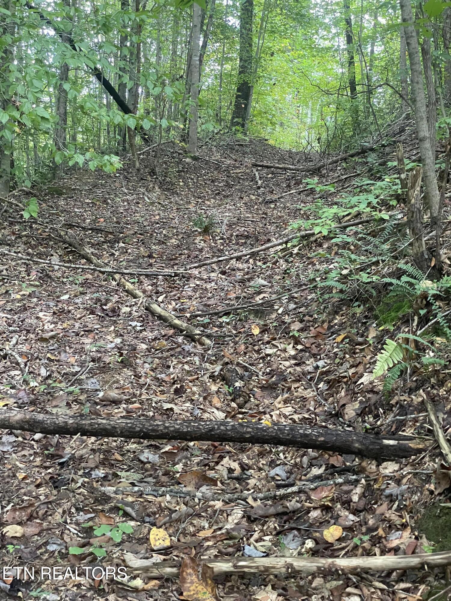 Buffalo Creek Road Oneida TN 37841