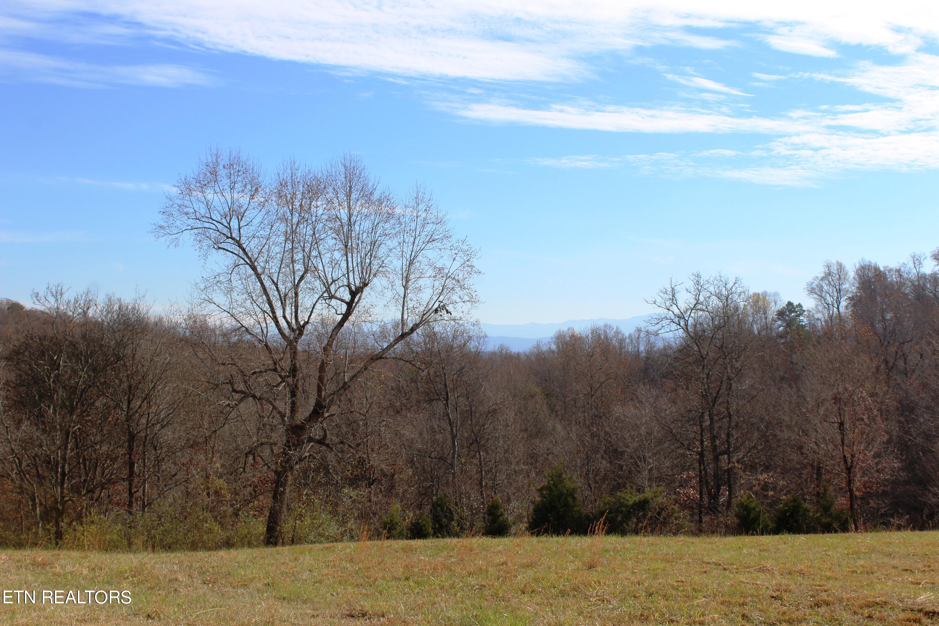 Wayne Bryant Road Louisville TN 37777