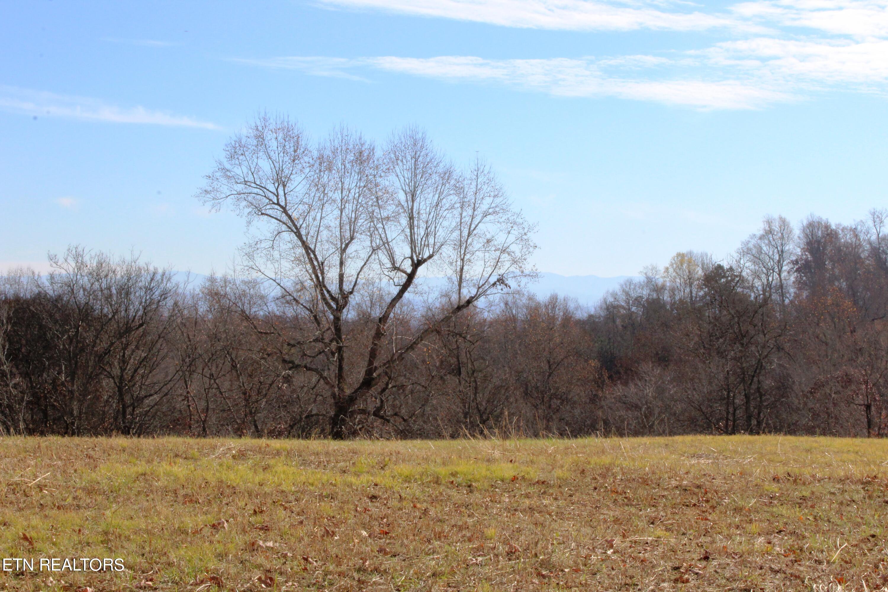 Wayne Bryant Road Louisville TN 37777