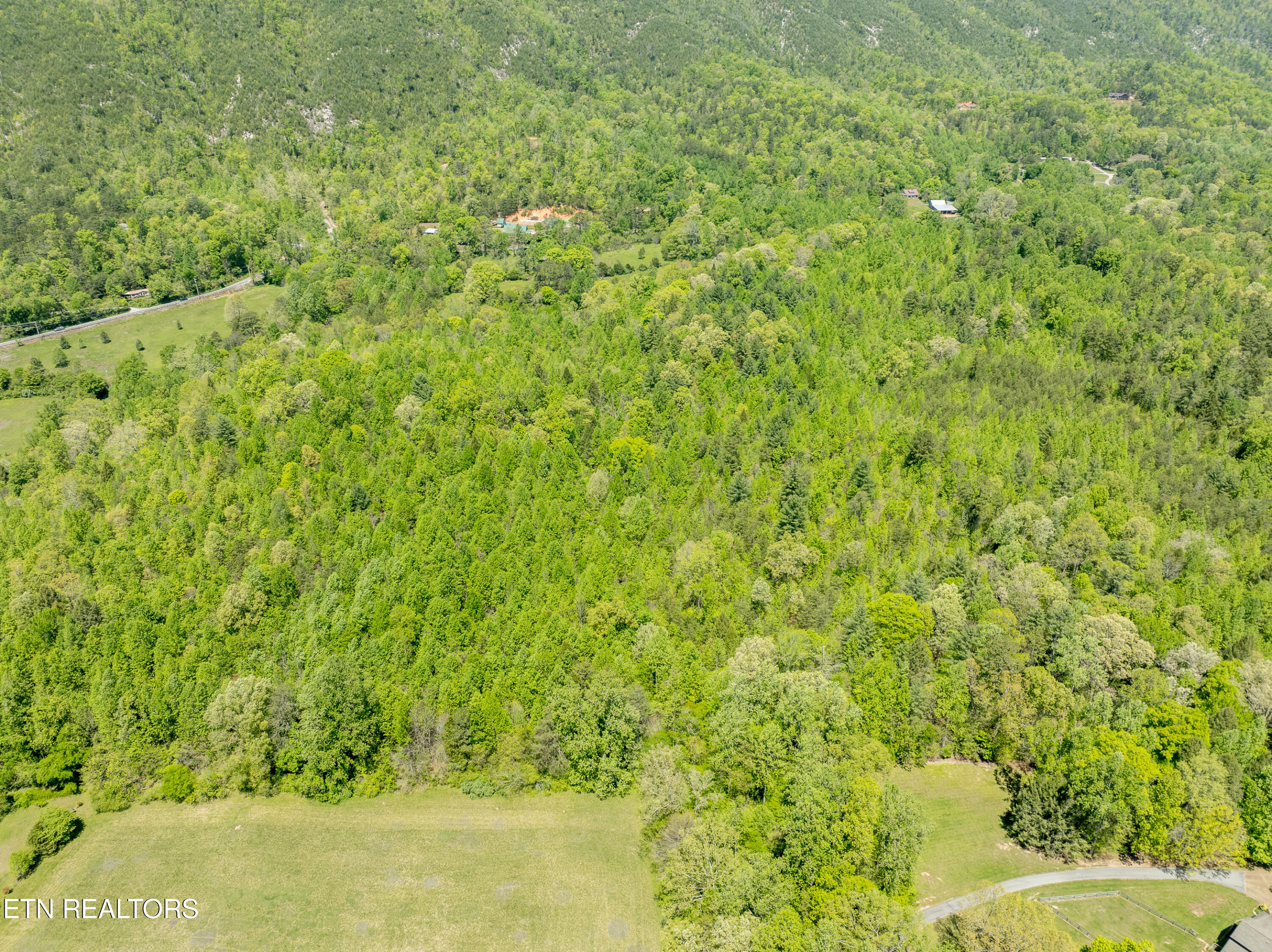 604 E Millers Cove Road Walland TN 37886