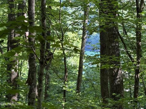 Lot 74 Norris Shores Drive Sharps Chapel TN 37866