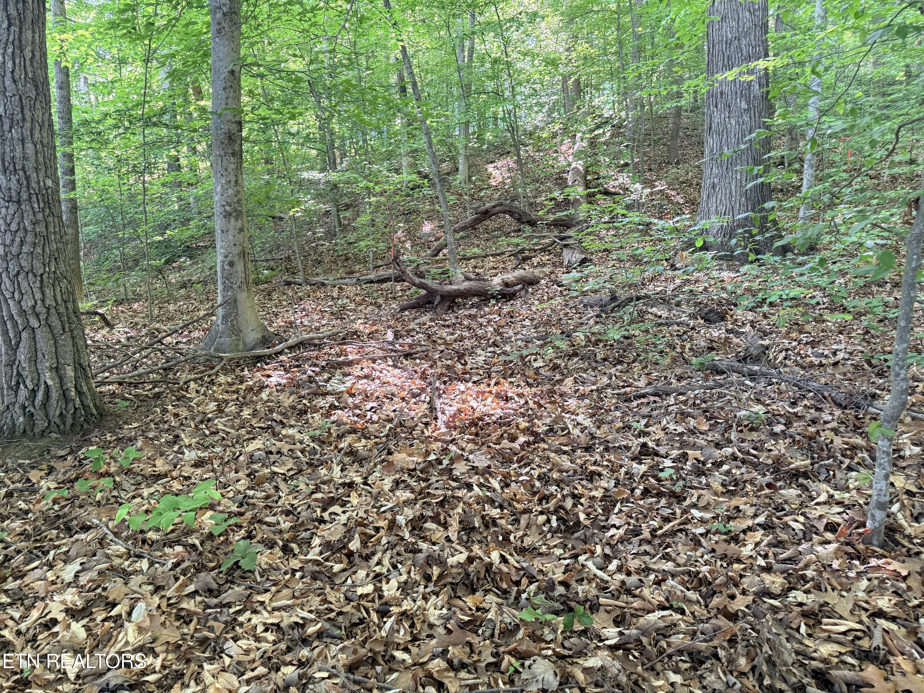 Lot 74, Norris Shores Drive Sharps Chapel TN 37866