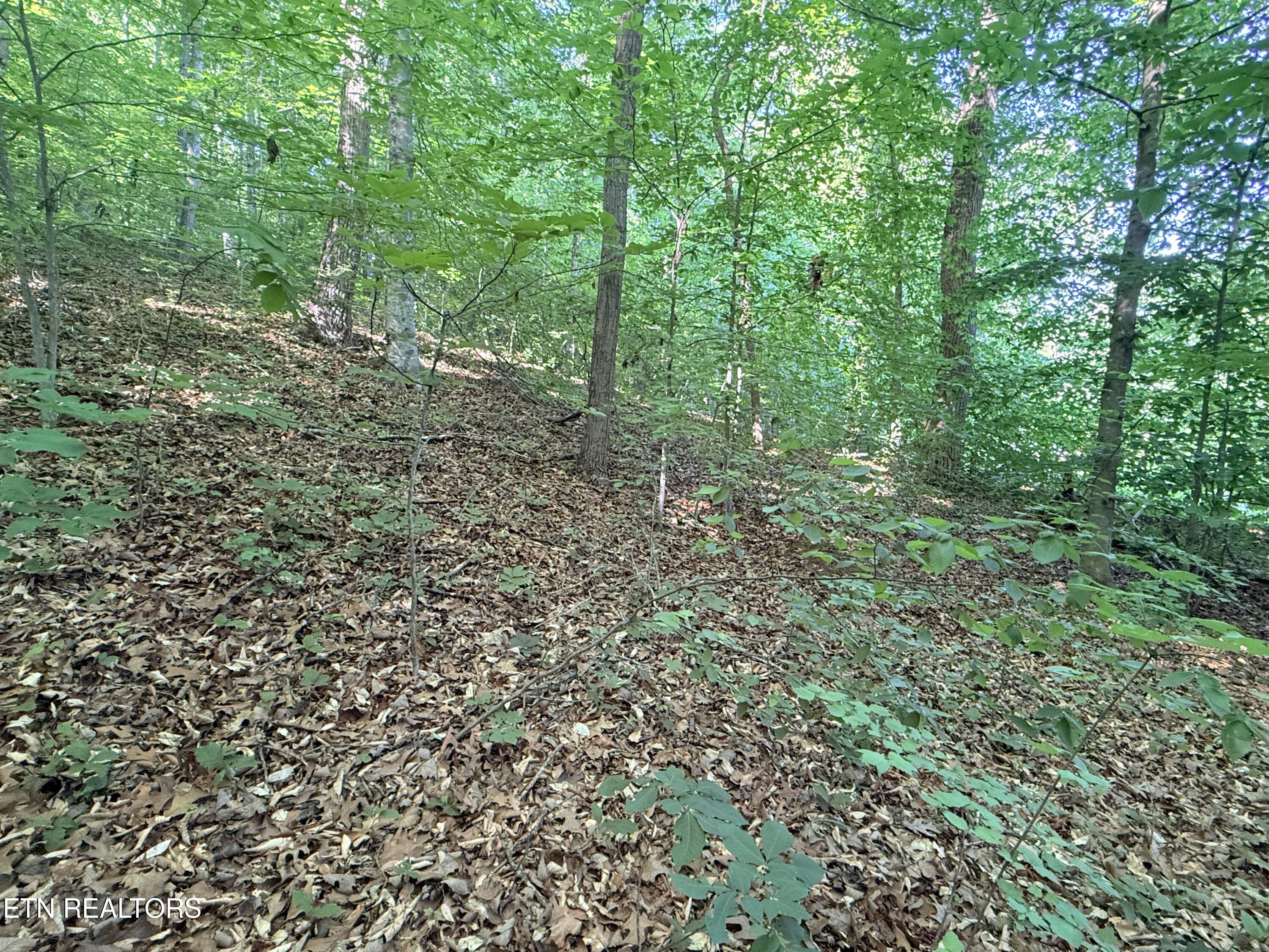 Lot 74, Norris Shores Drive Sharps Chapel TN 37866
