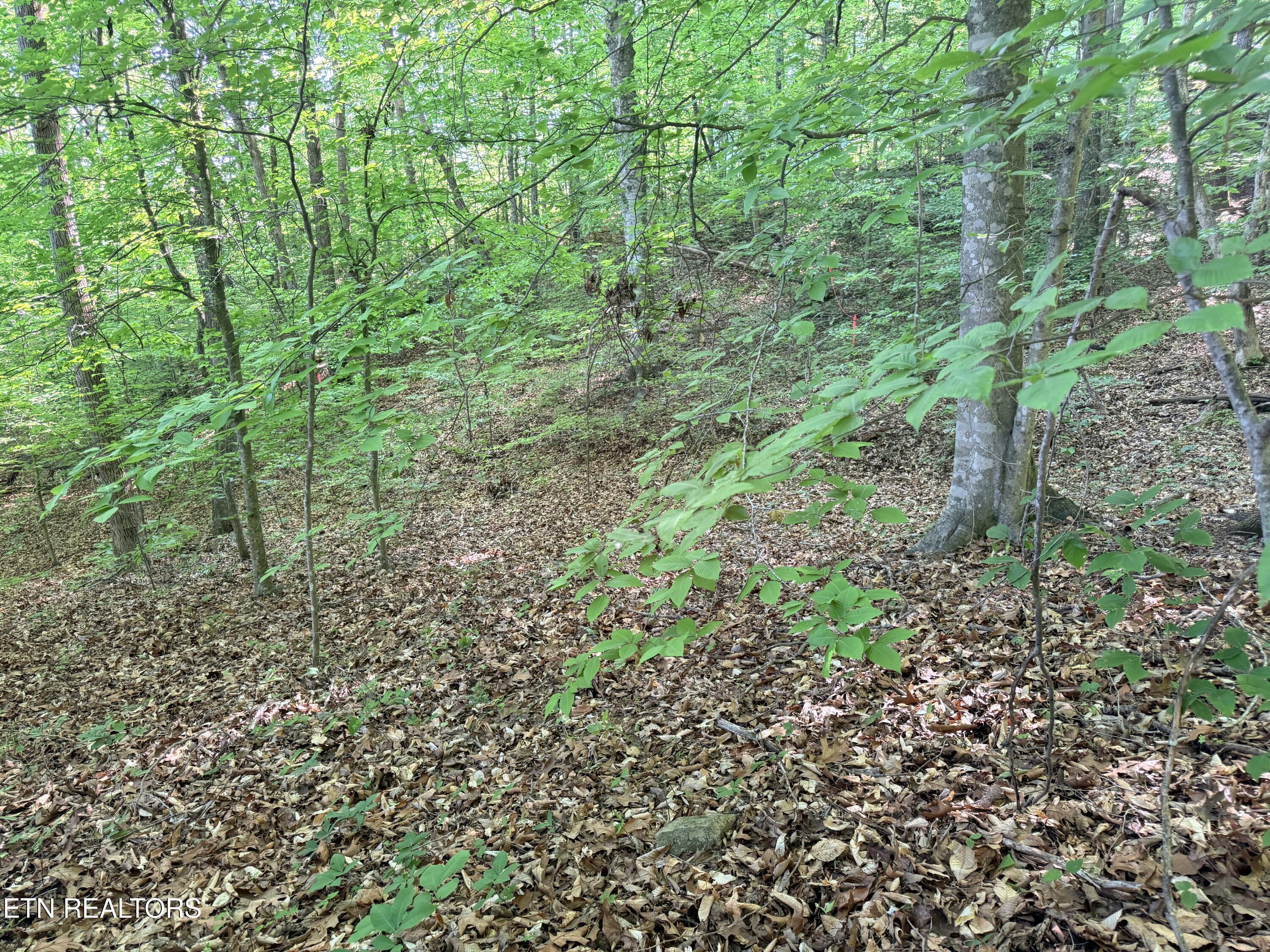 Lot 74, Norris Shores Drive Sharps Chapel TN 37866
