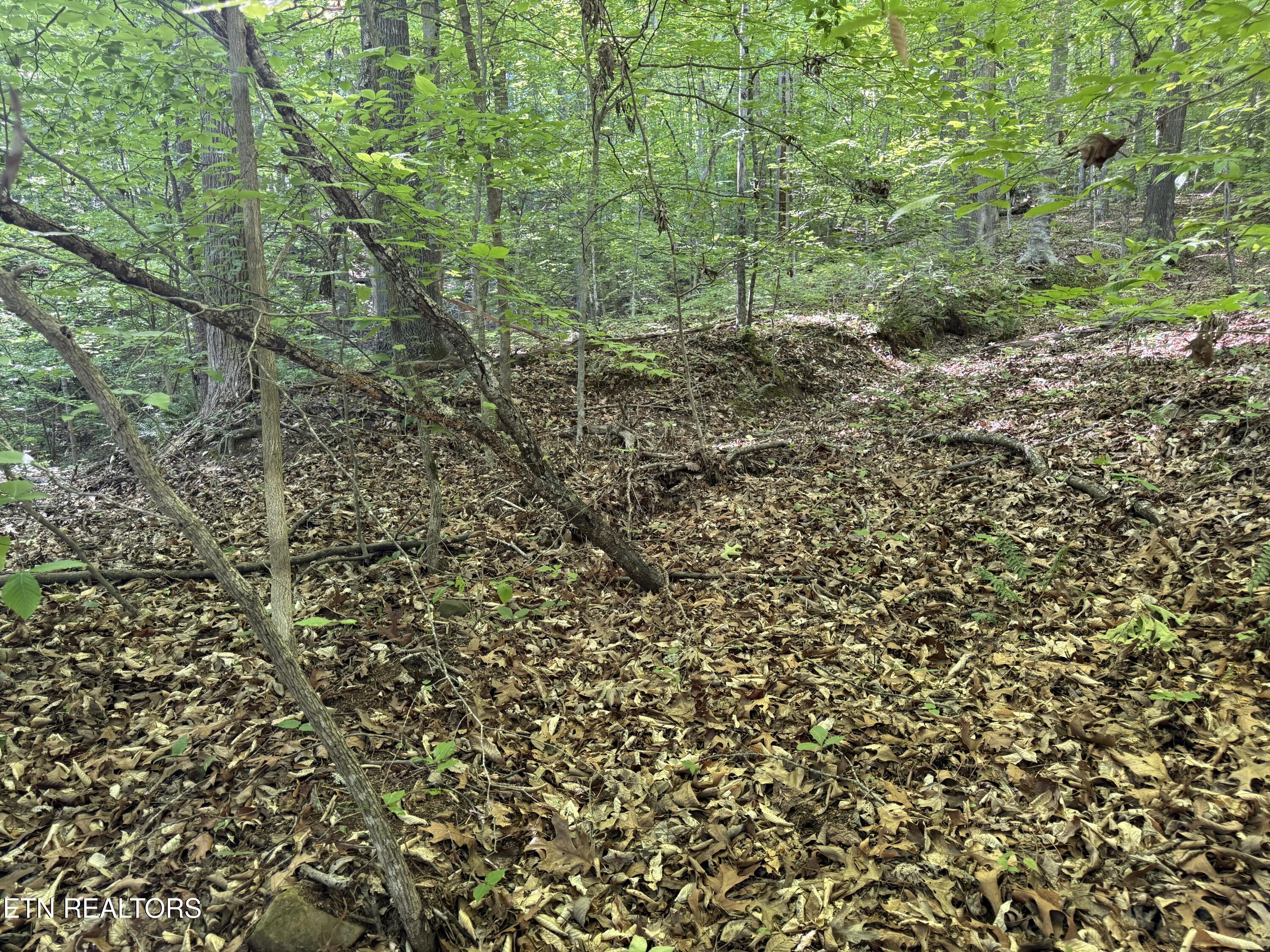 Lot 74, Norris Shores Drive Sharps Chapel TN 37866