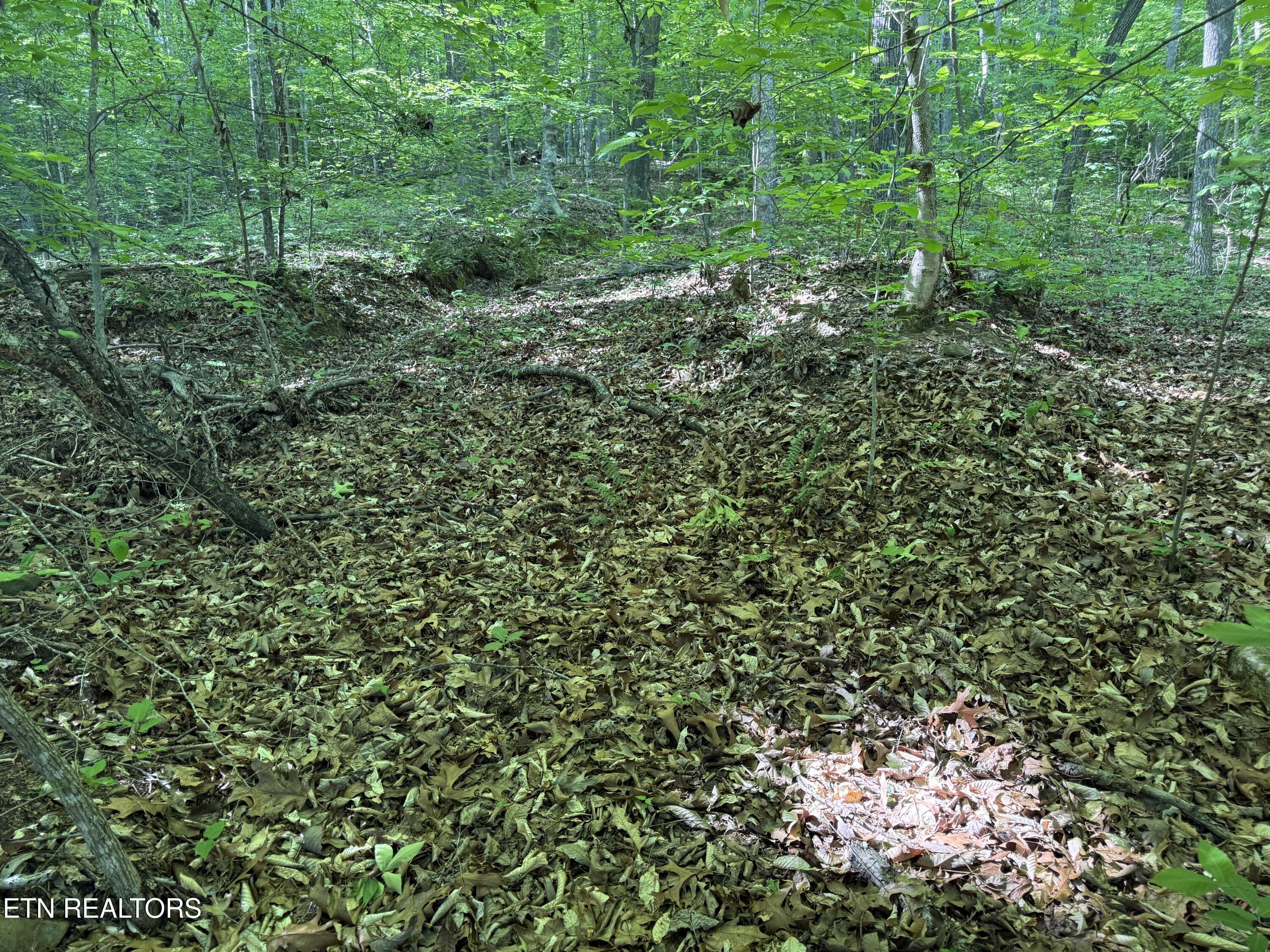 Lot 74, Norris Shores Drive Sharps Chapel TN 37866