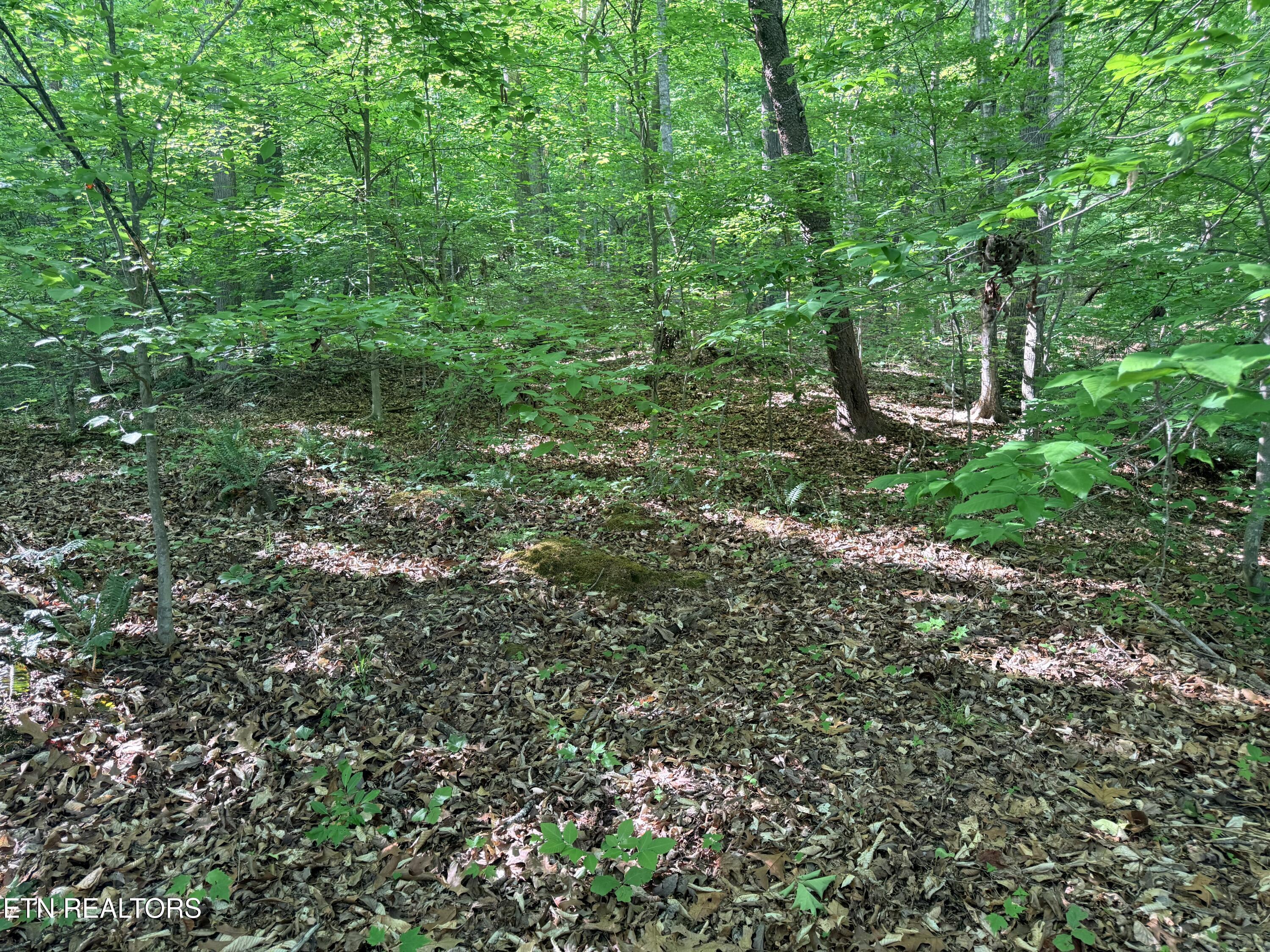 Lot 74, Norris Shores Drive Sharps Chapel TN 37866