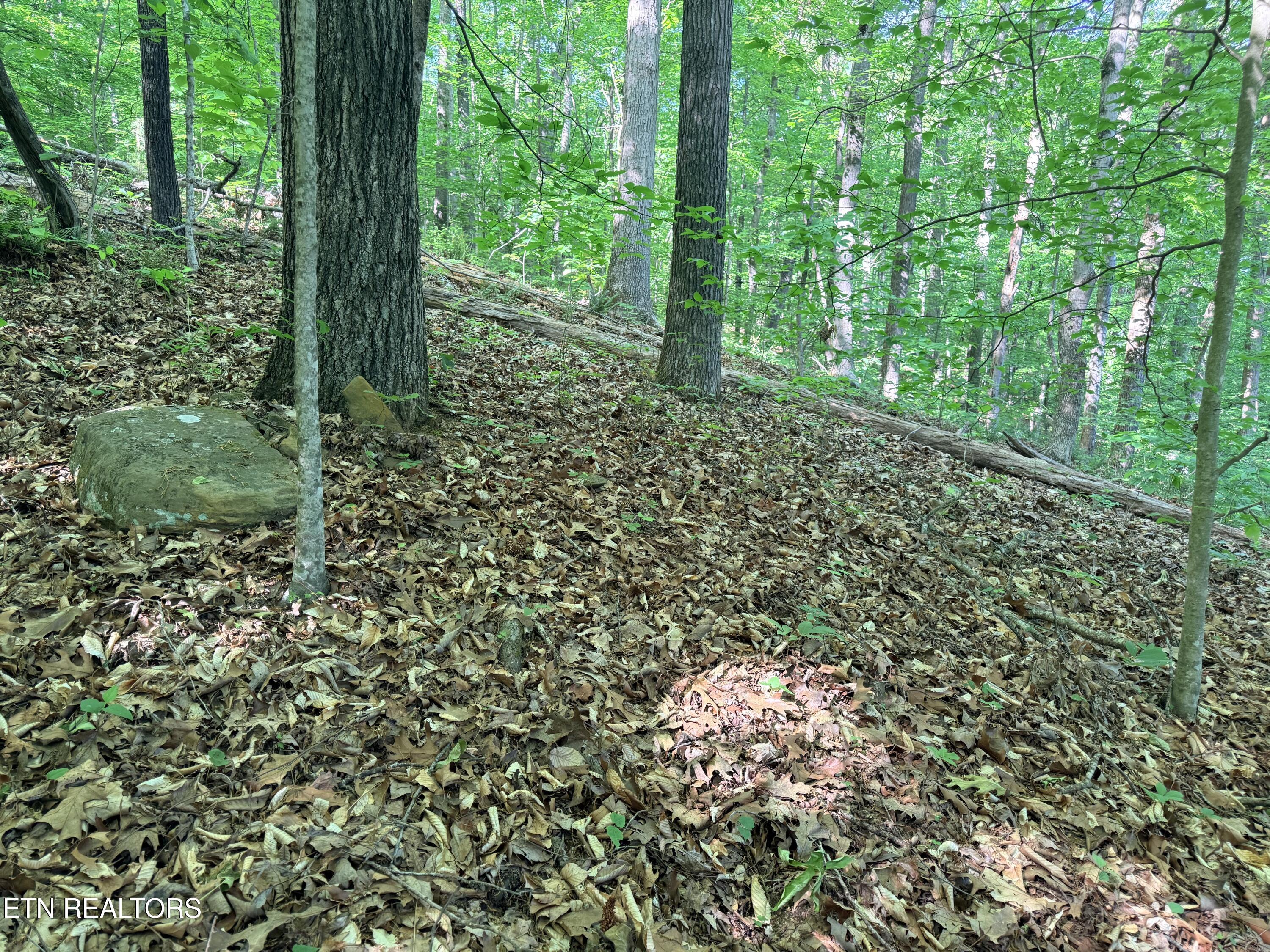 Lot 74, Norris Shores Drive Sharps Chapel TN 37866