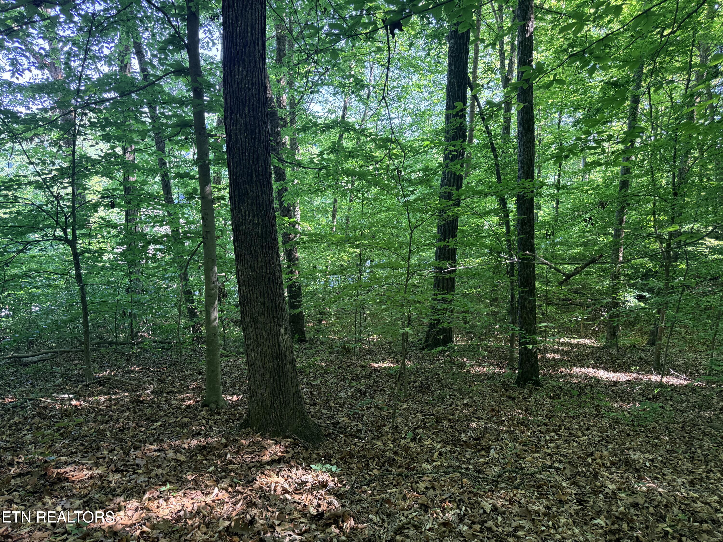 Lot 74, Norris Shores Drive Sharps Chapel TN 37866
