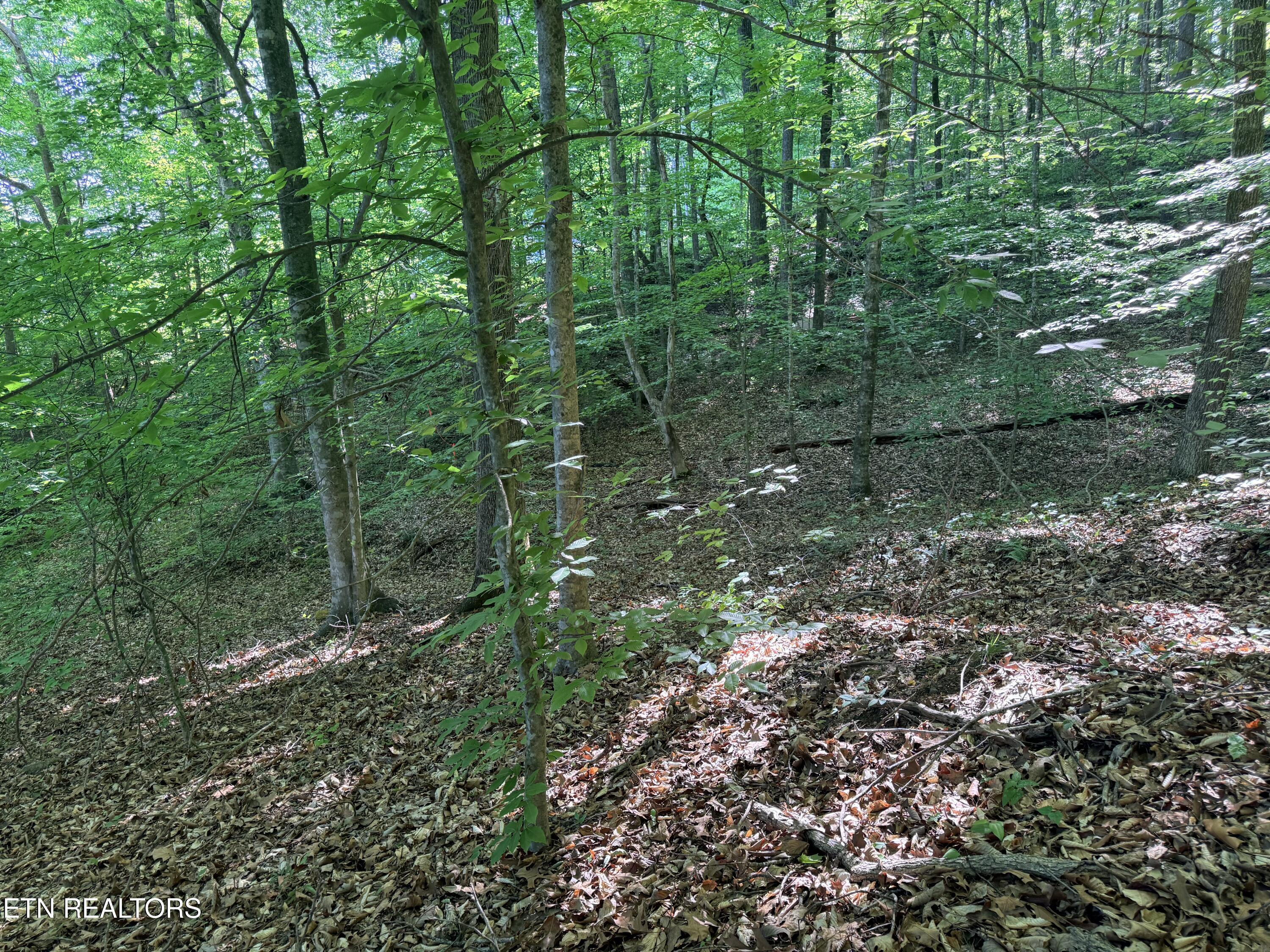 Lot 74, Norris Shores Drive Sharps Chapel TN 37866