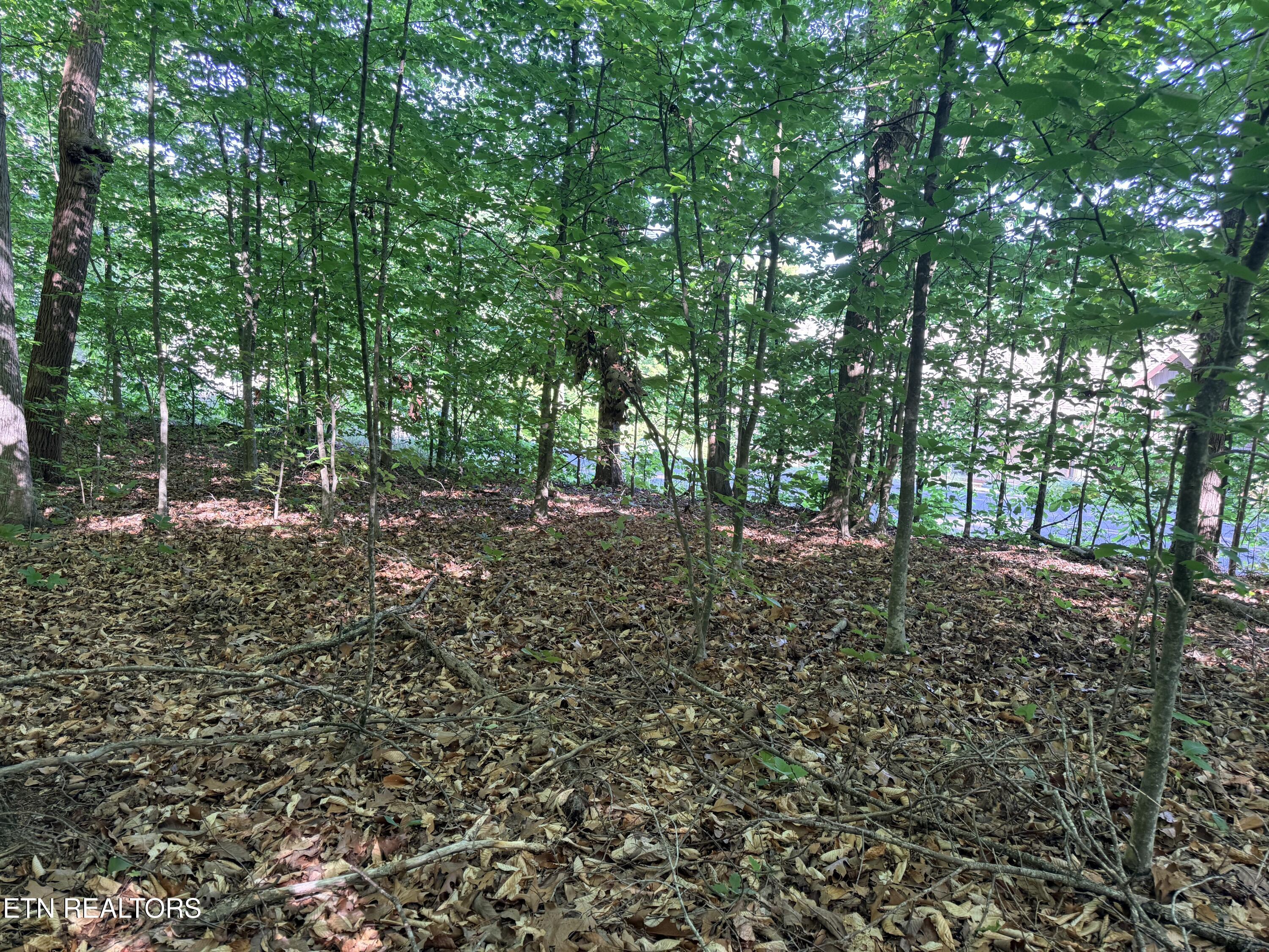 Lot 74, Norris Shores Drive Sharps Chapel TN 37866