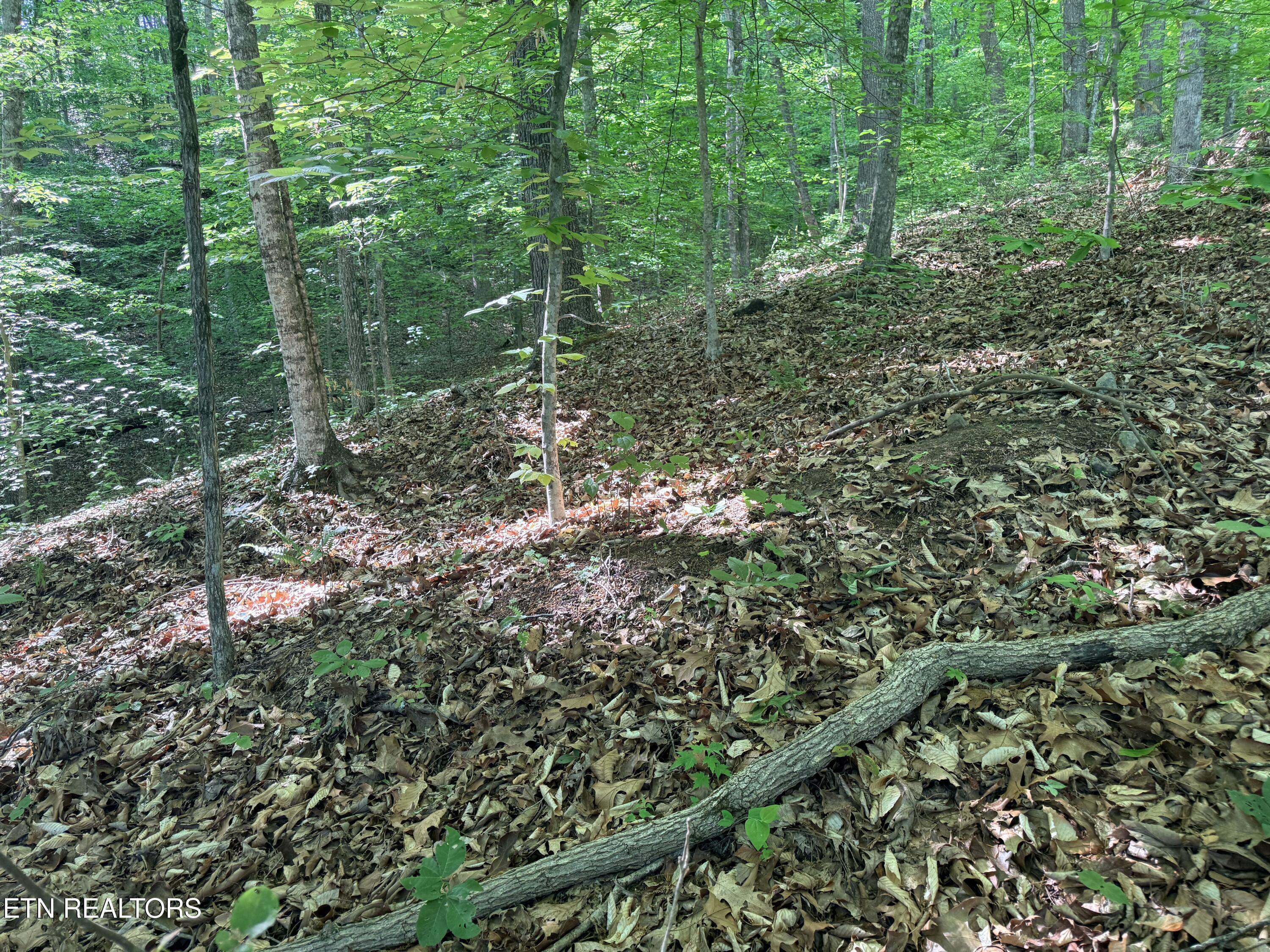 Lot 74, Norris Shores Drive Sharps Chapel TN 37866