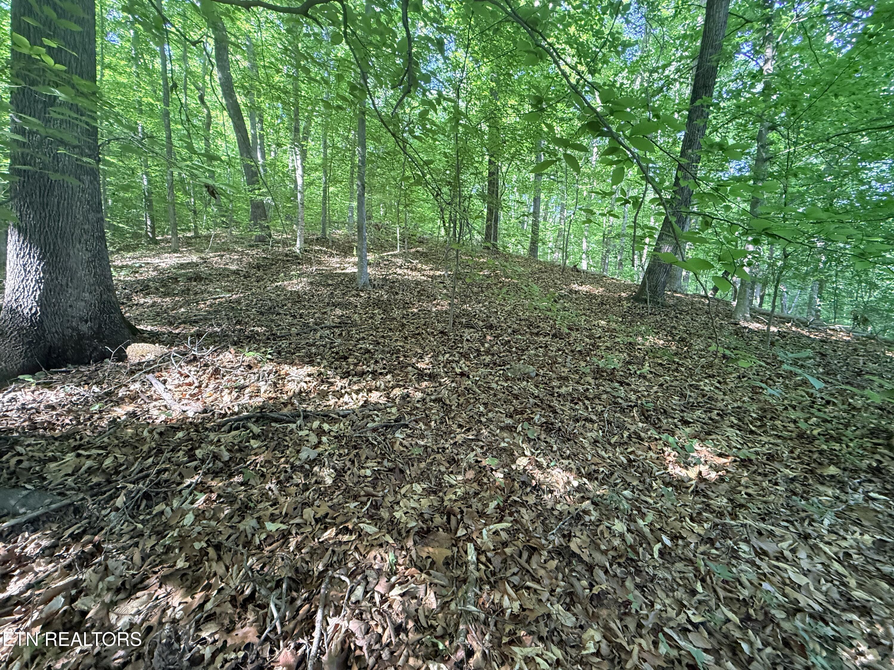 Lot 74, Norris Shores Drive Sharps Chapel TN 37866