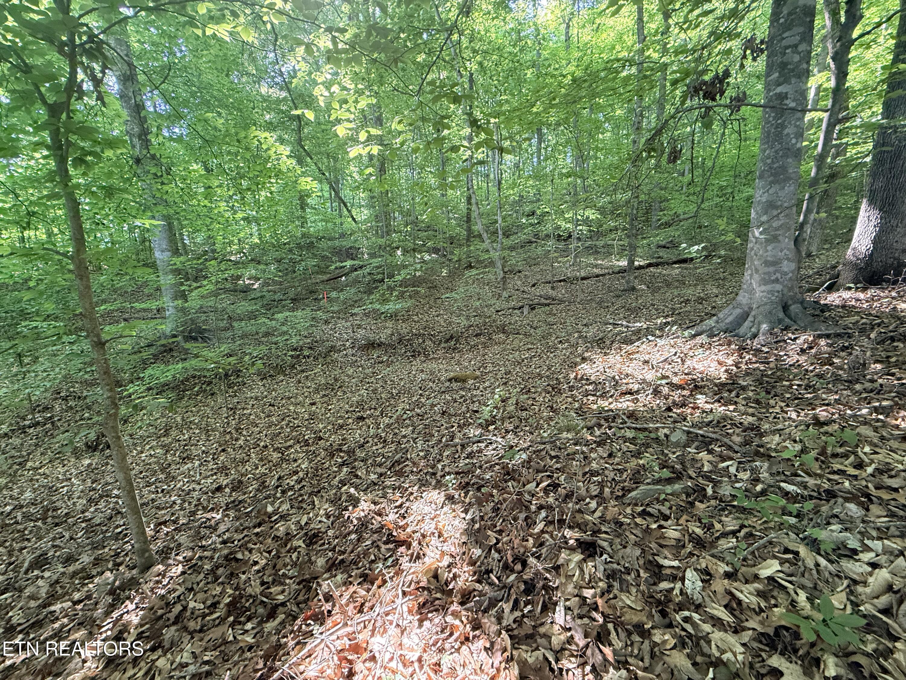 Lot 74, Norris Shores Drive Sharps Chapel TN 37866