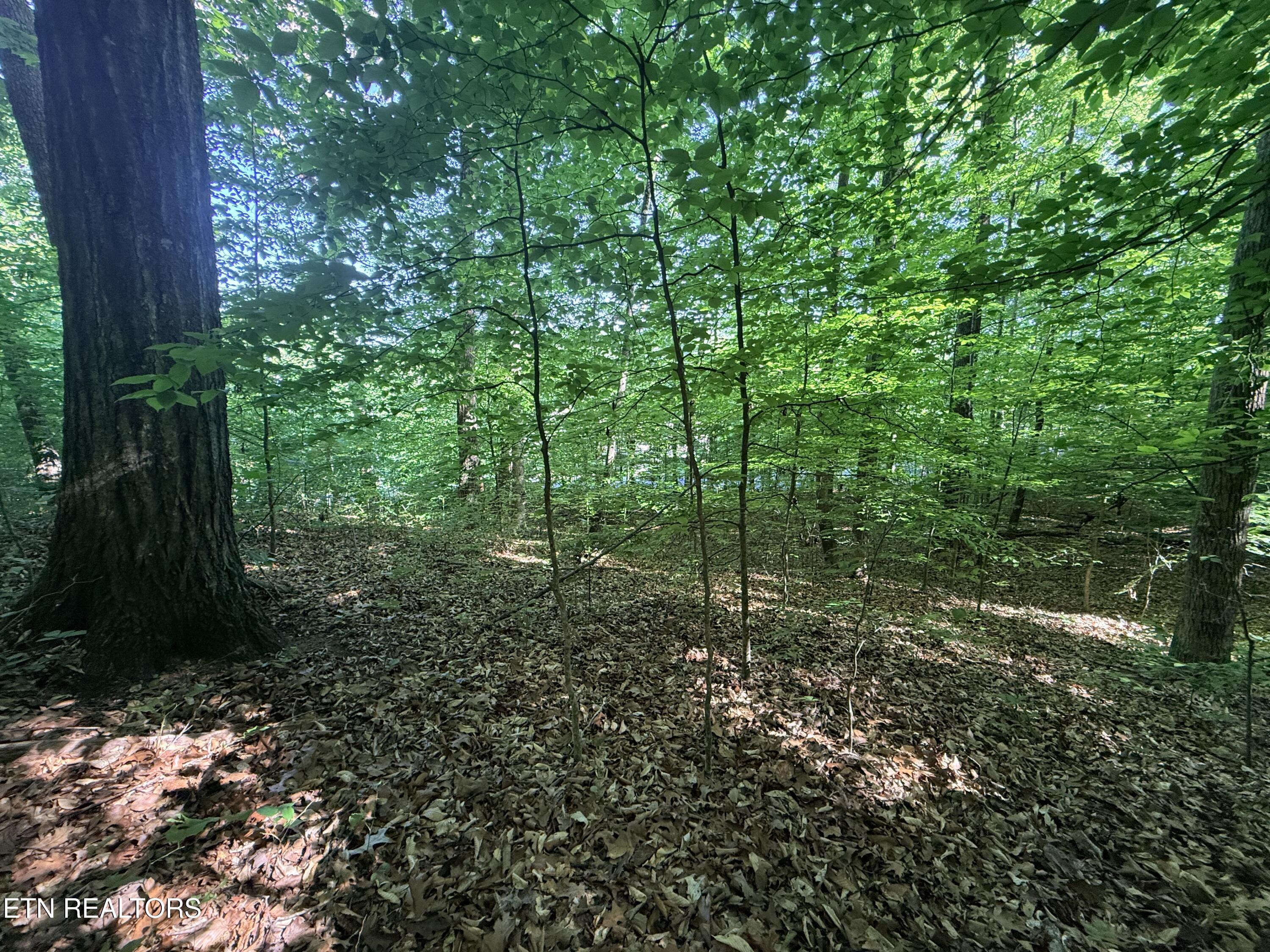 Lot 74, Norris Shores Drive Sharps Chapel TN 37866