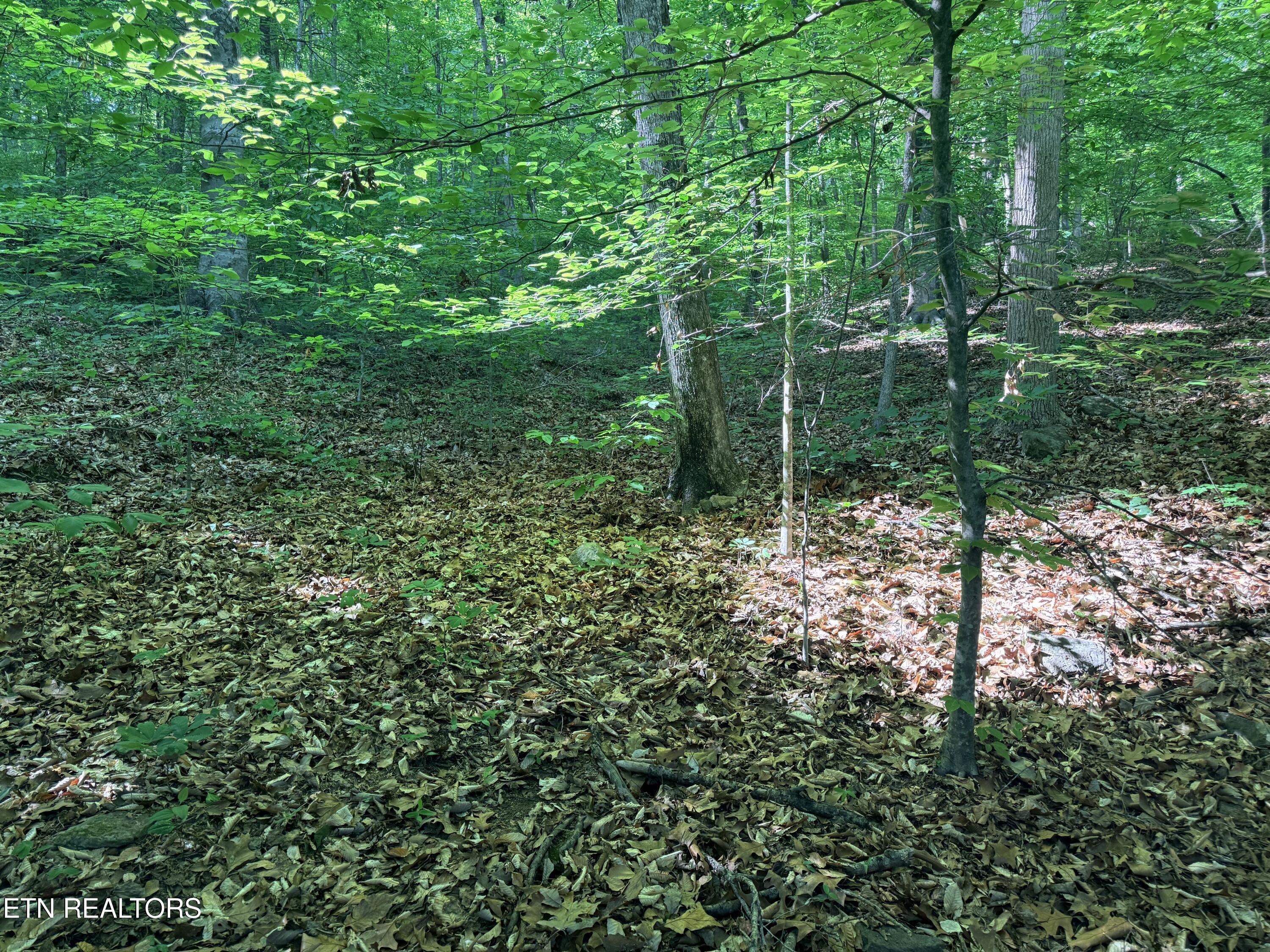 Lot 74, Norris Shores Drive Sharps Chapel TN 37866