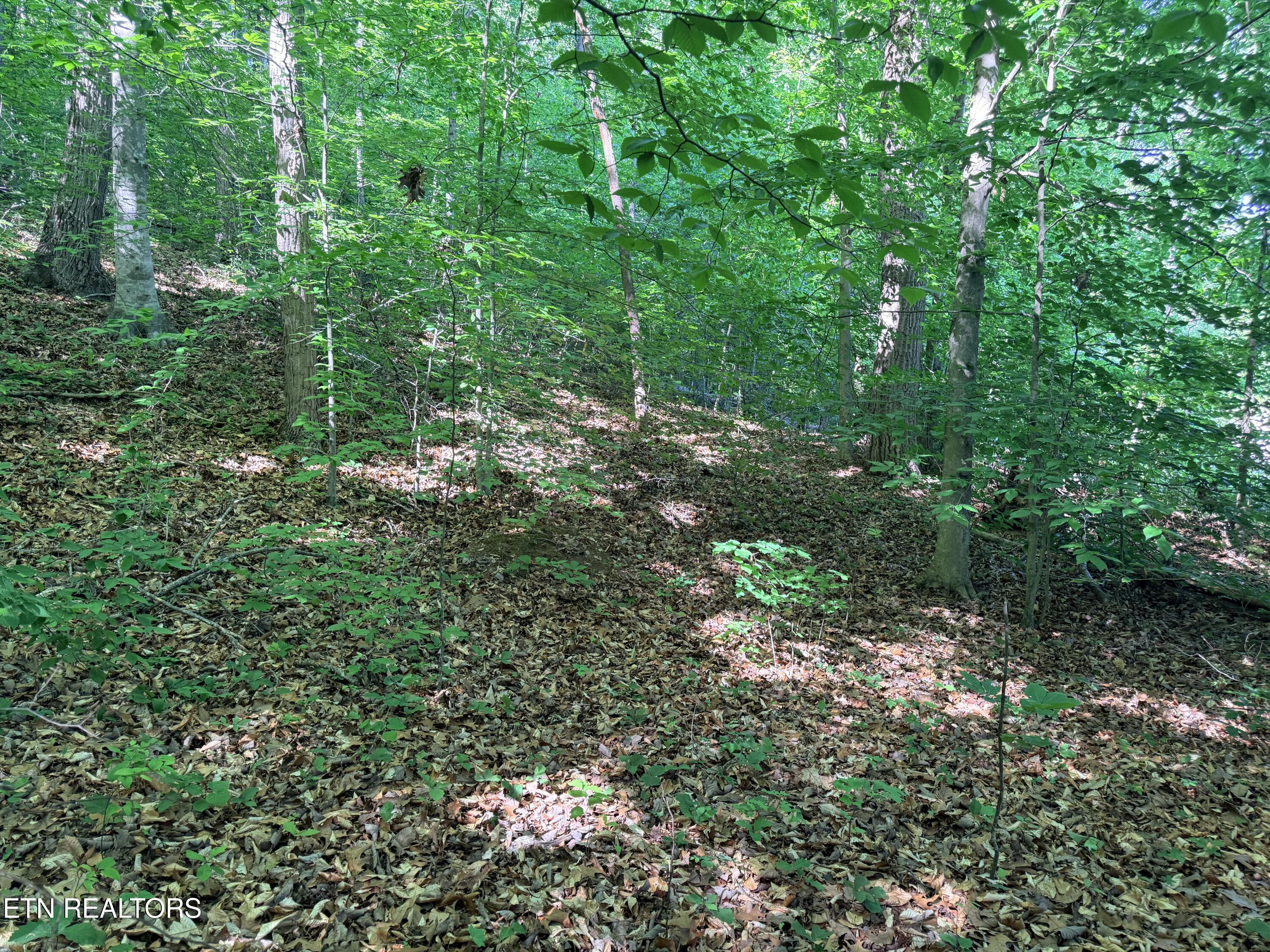 Lot 74, Norris Shores Drive Sharps Chapel TN 37866