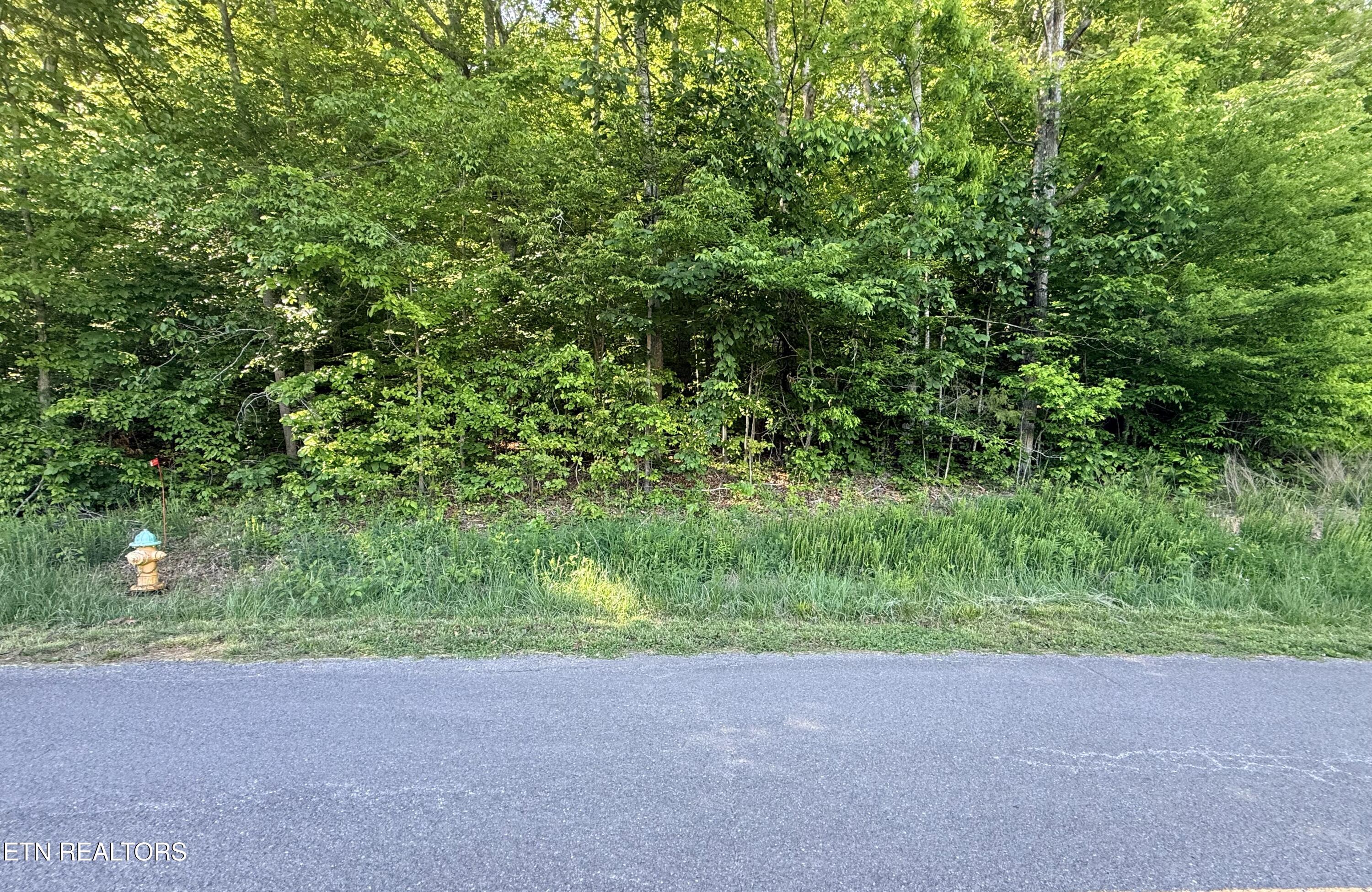 Lot 74, Norris Shores Drive Sharps Chapel TN 37866