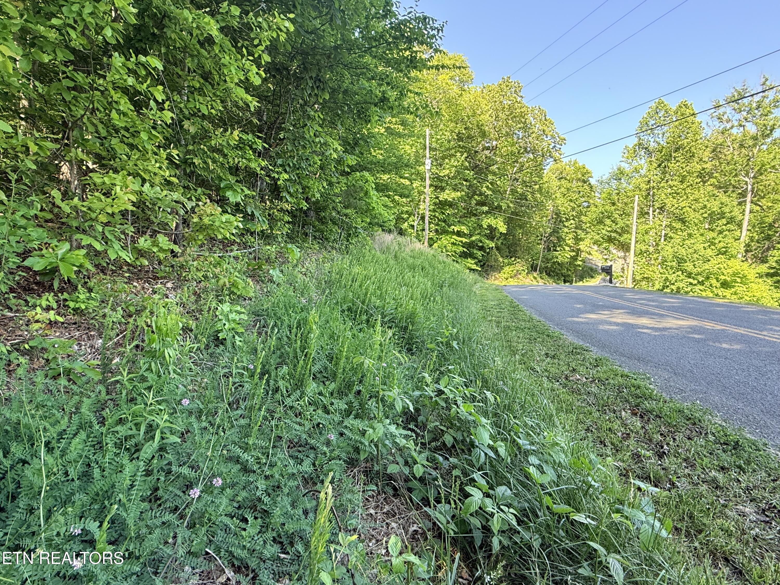 Lot 74, Norris Shores Drive Sharps Chapel TN 37866