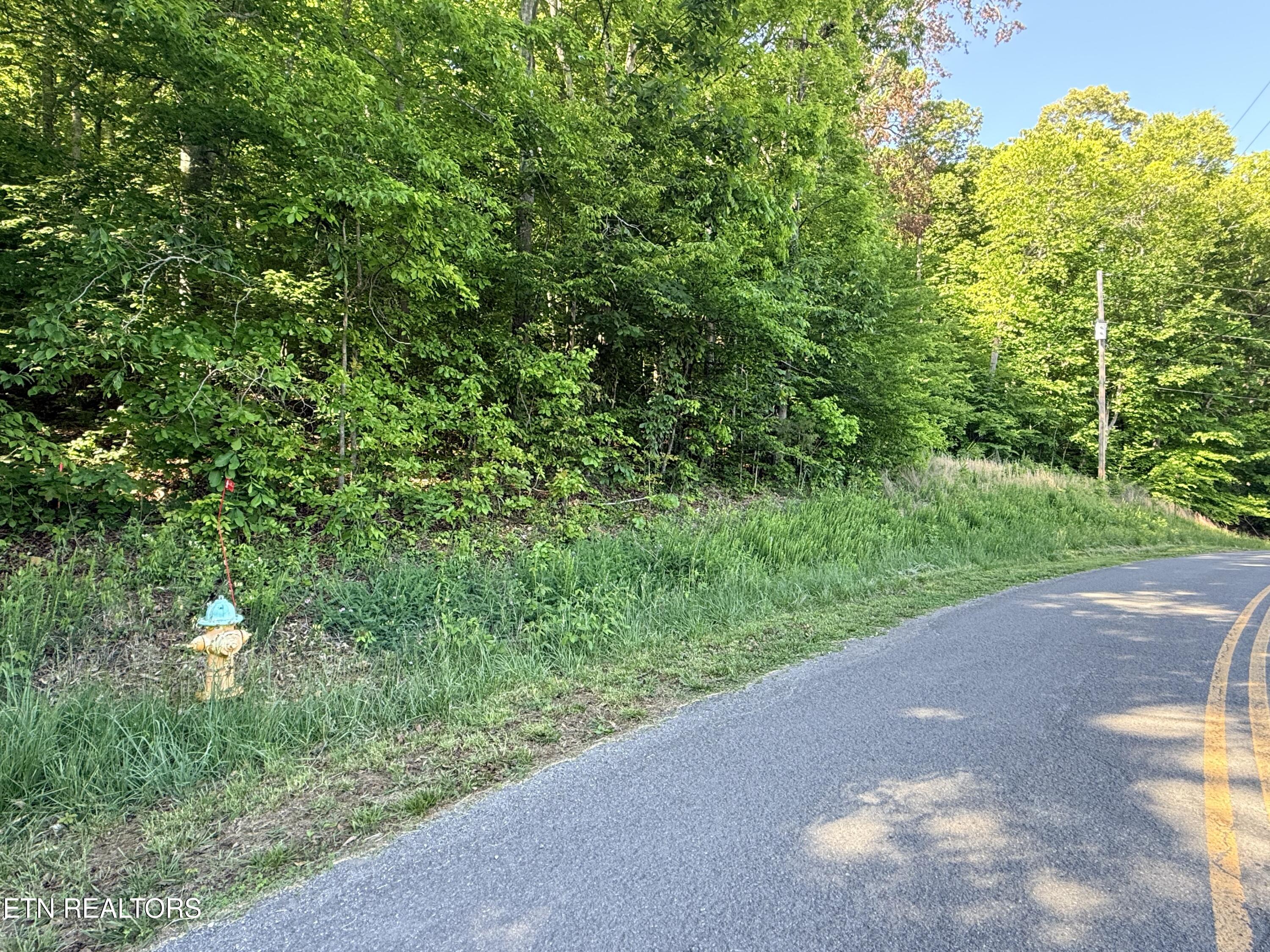 Lot 74, Norris Shores Drive Sharps Chapel TN 37866