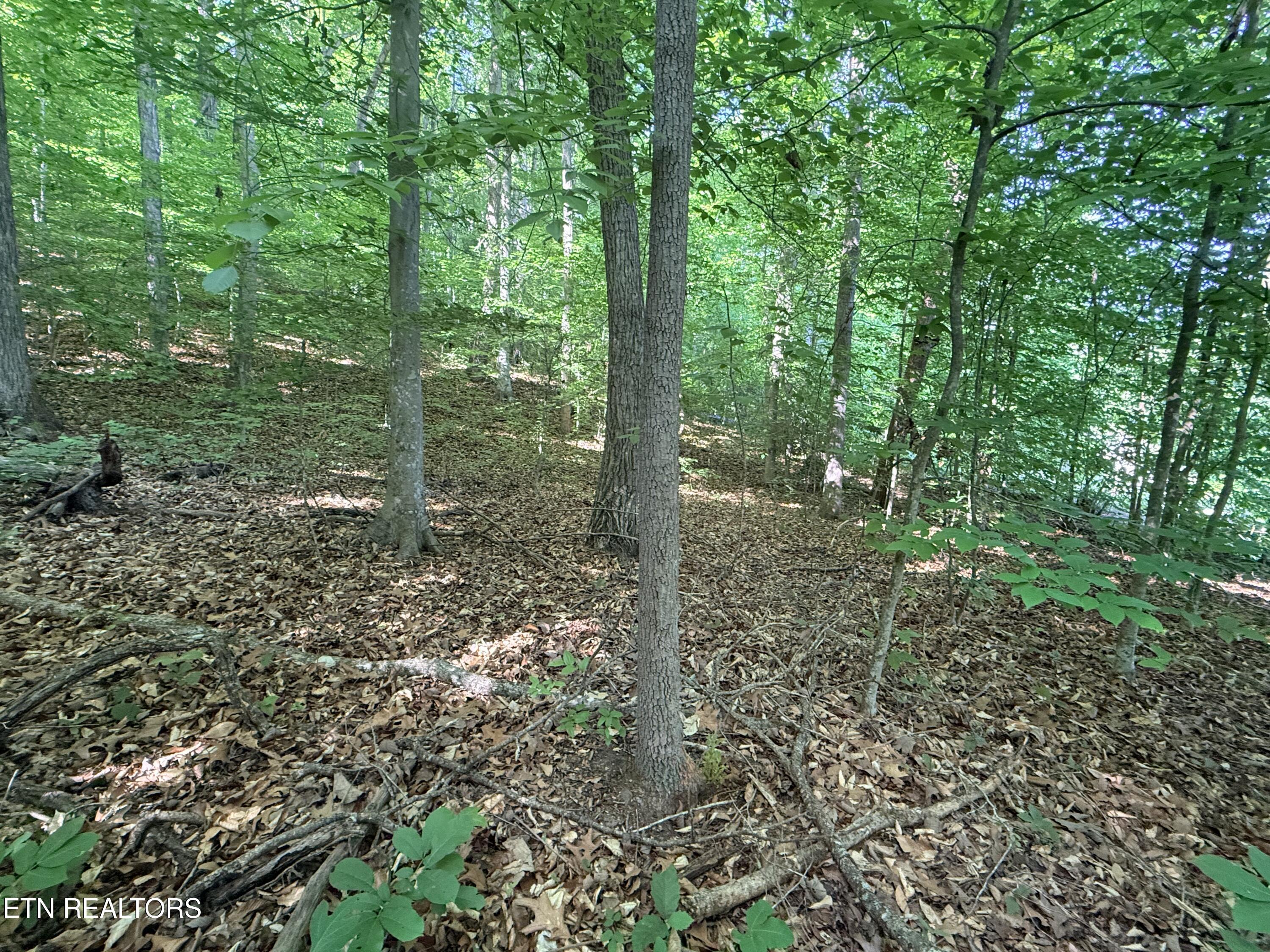 Lot 74, Norris Shores Drive Sharps Chapel TN 37866