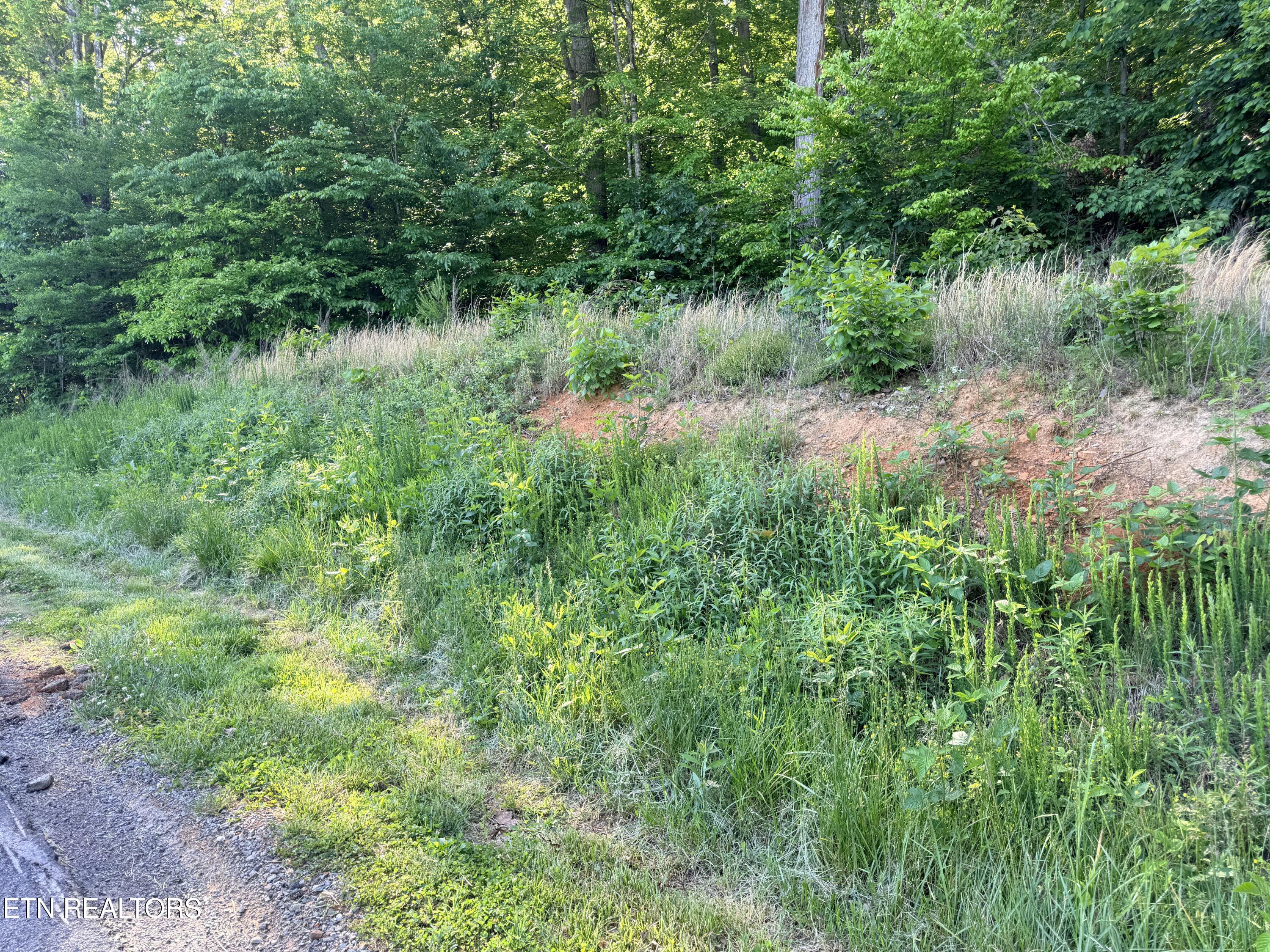 Lot 74, Norris Shores Drive Sharps Chapel TN 37866