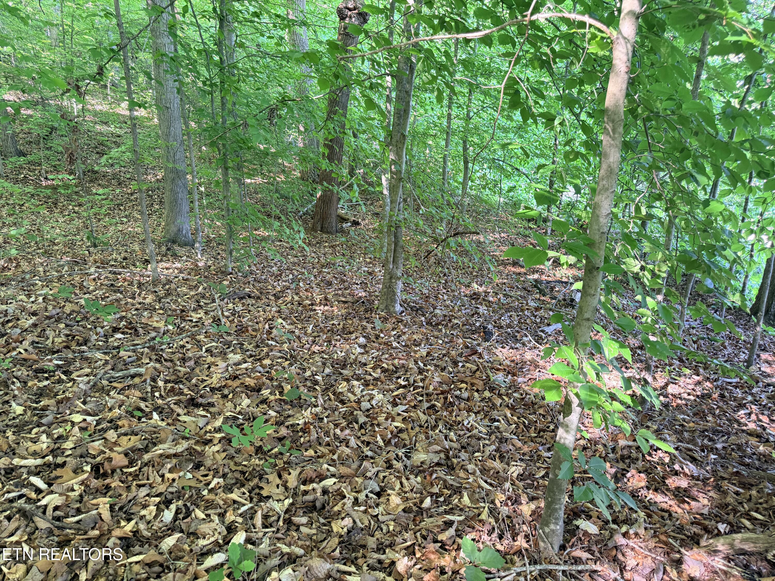 Lot 74, Norris Shores Drive Sharps Chapel TN 37866