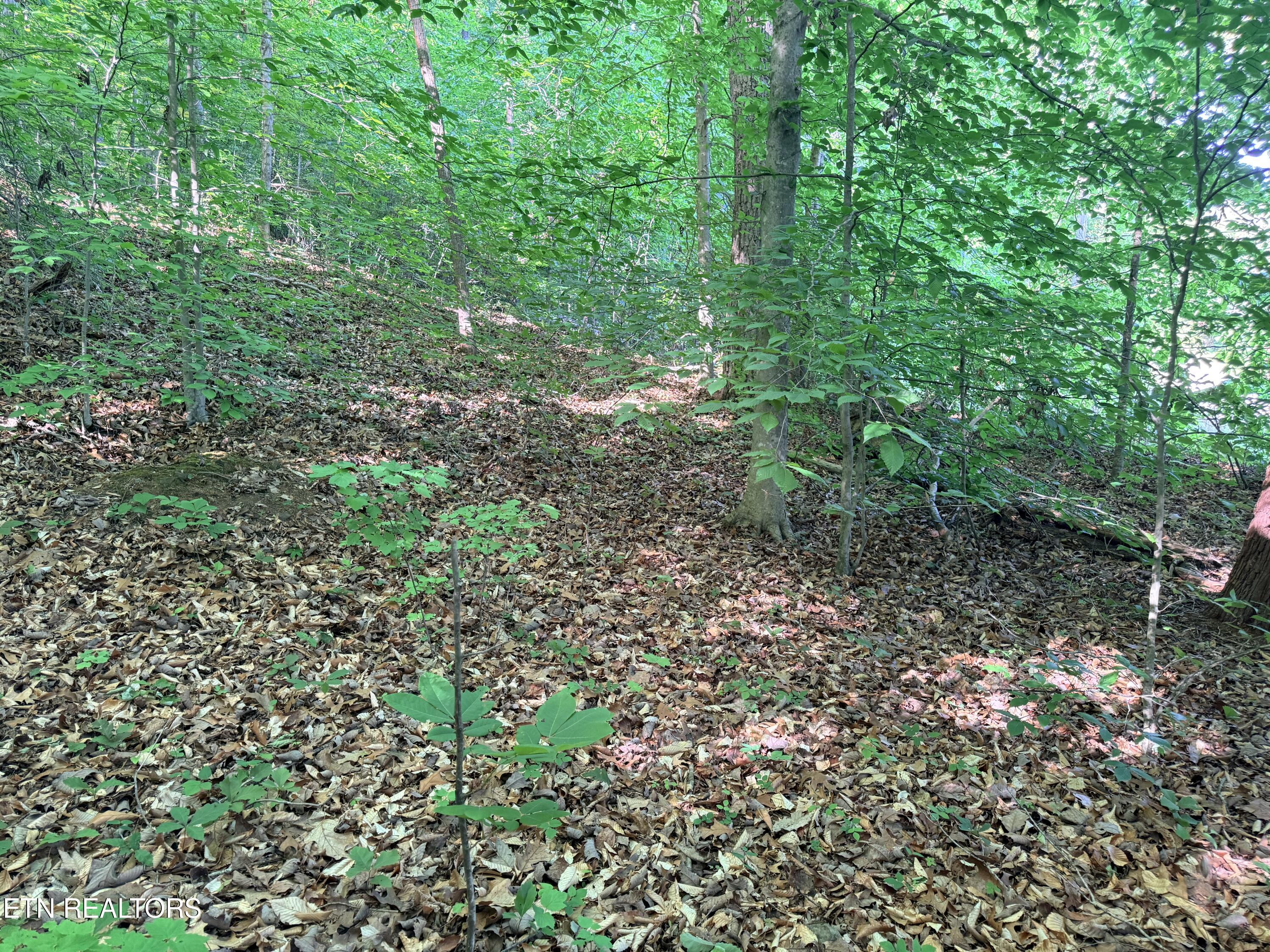 Lot 74, Norris Shores Drive Sharps Chapel TN 37866