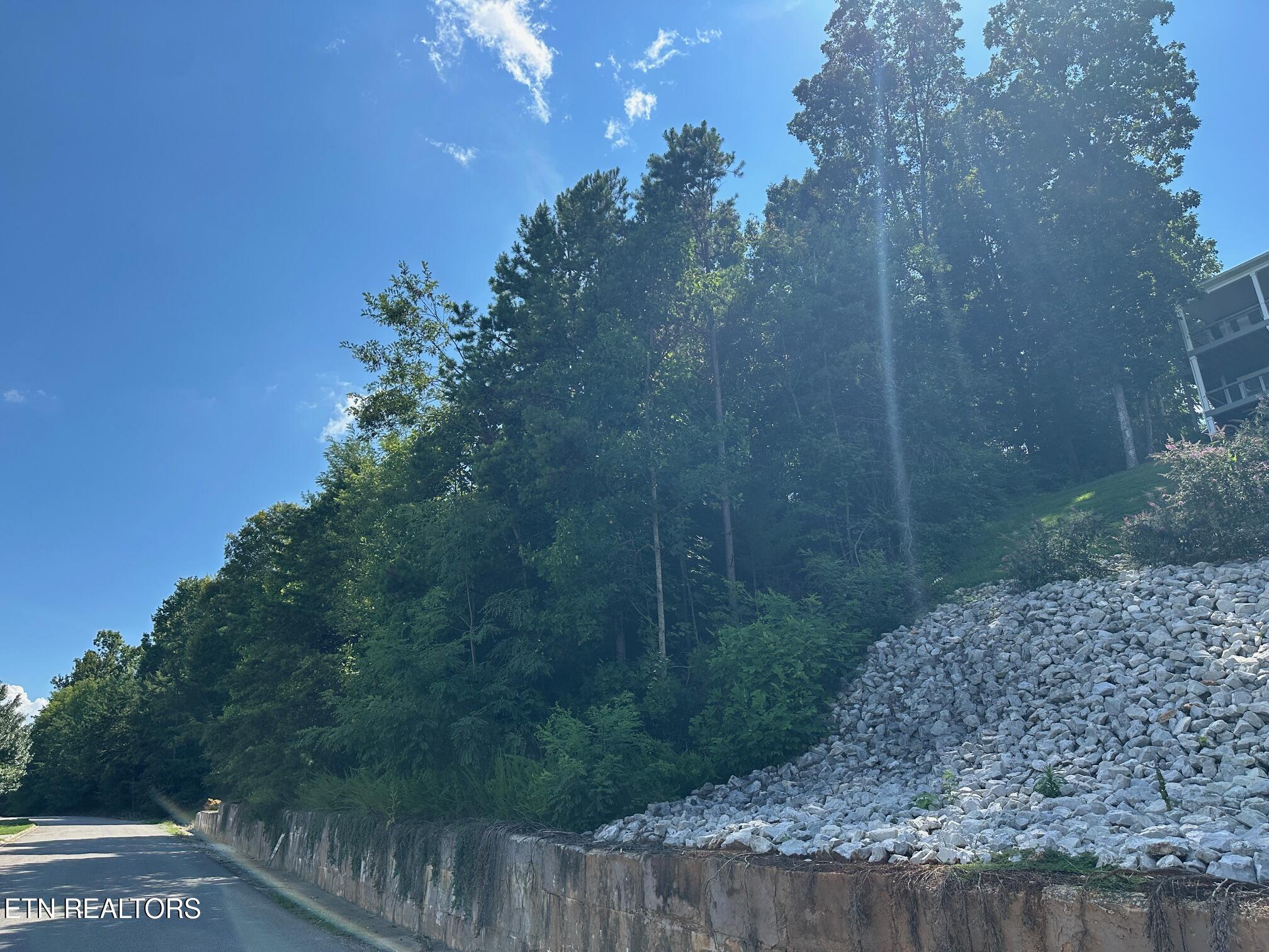 Norris Crest Drive Lafollette TN 37766