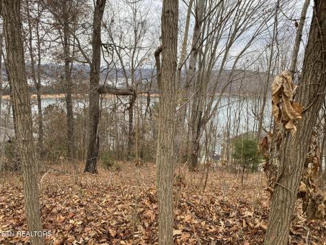 Norris Crest Drive LaFollette TN 37766