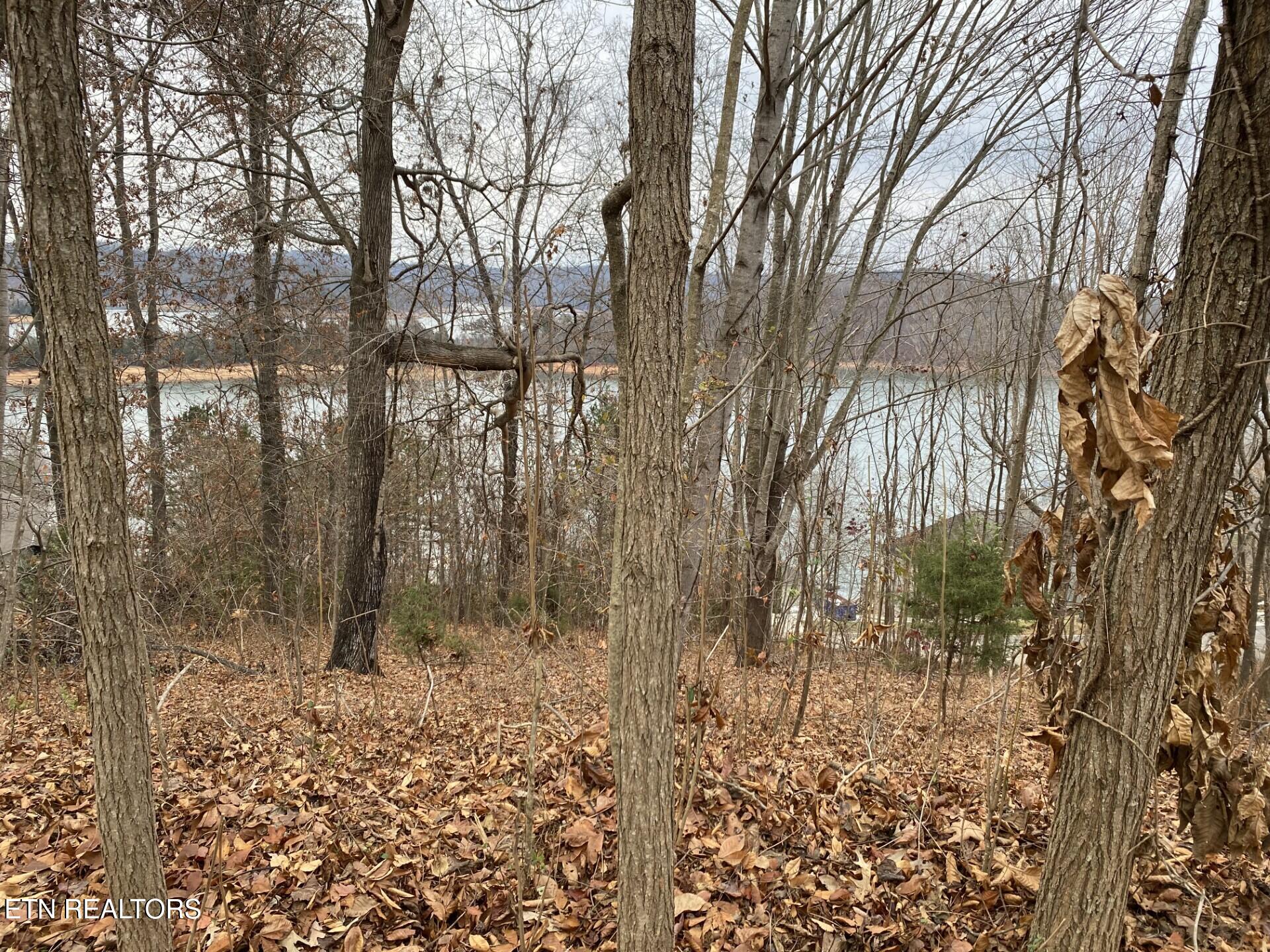 Norris Crest Drive Lafollette TN 37766