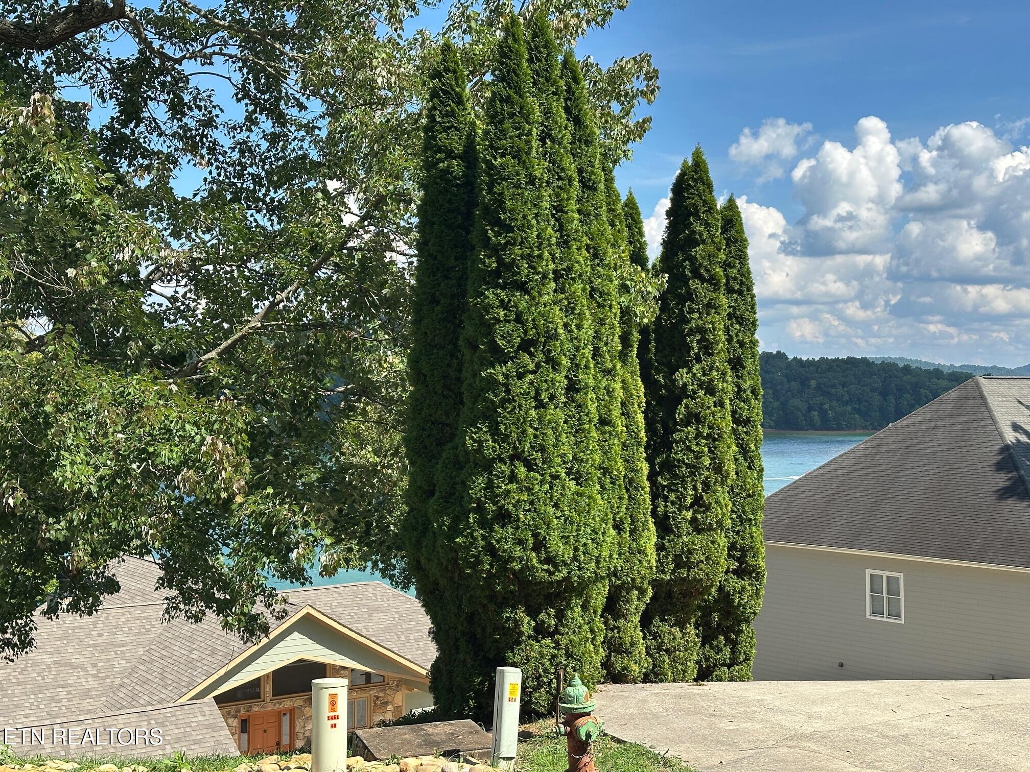 Norris Crest Drive Lafollette TN 37766
