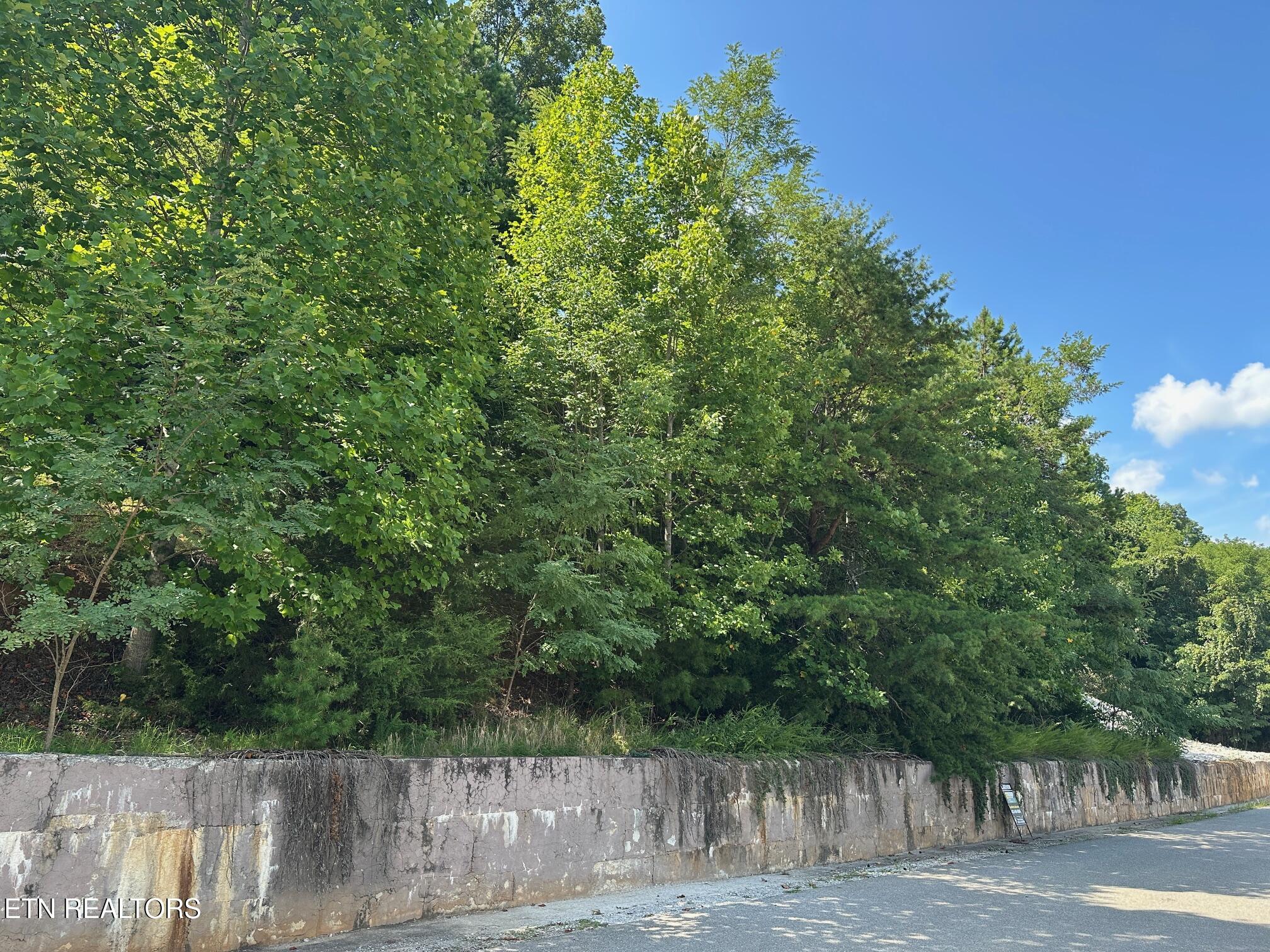 Norris Crest Drive Lafollette TN 37766