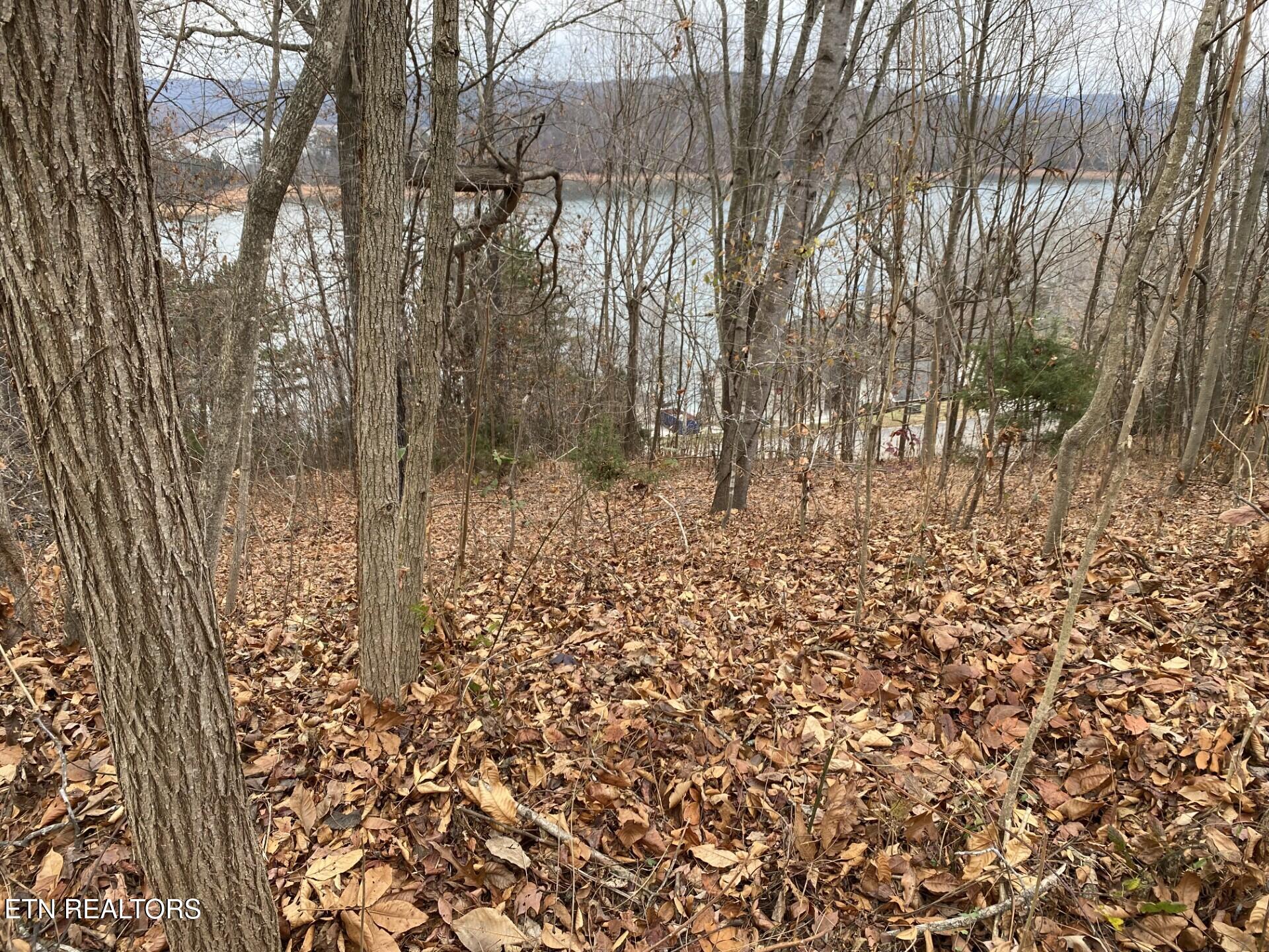 Norris Crest Drive Lafollette TN 37766