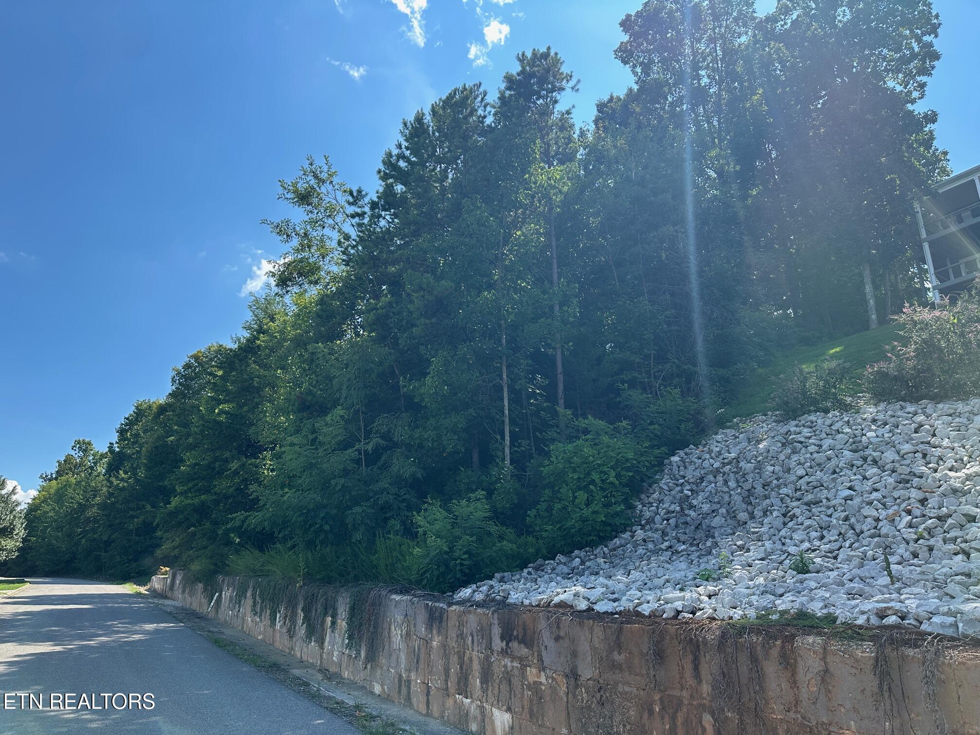 Norris Crest Drive Lafollette TN 37766