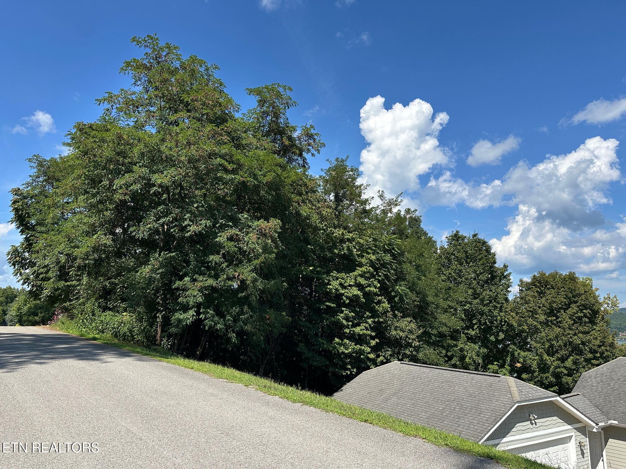 Norris Crest Drive Lafollette TN 37766