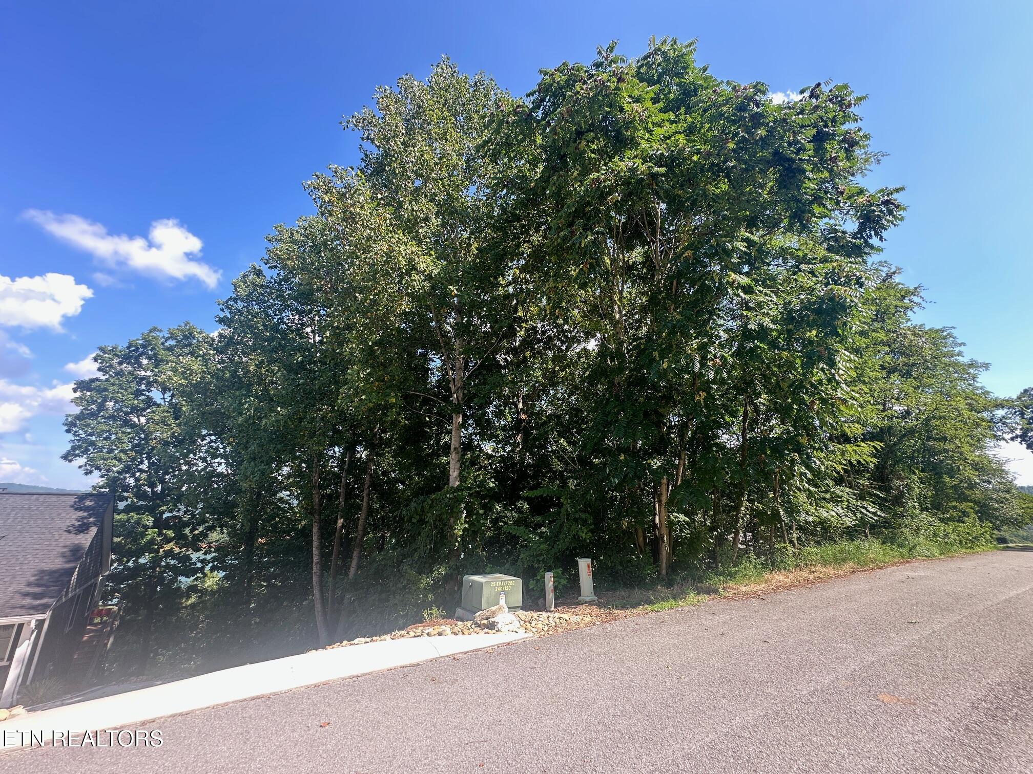 Norris Crest Drive Lafollette TN 37766
