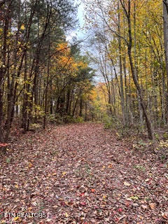 1867 Big Ridge Road Spring City TN 37381